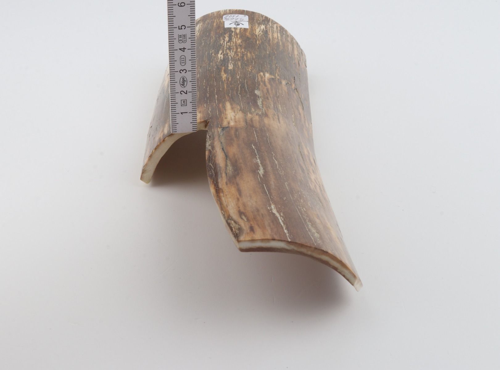Natural mammoth bark