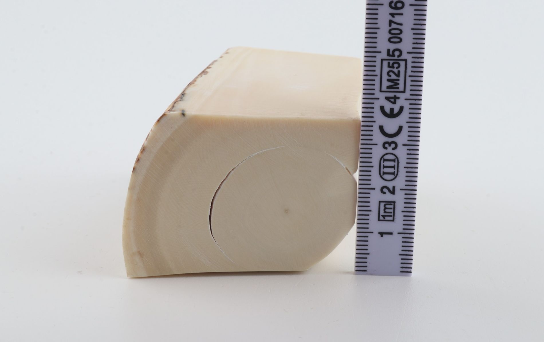 White mammoth ivory piece