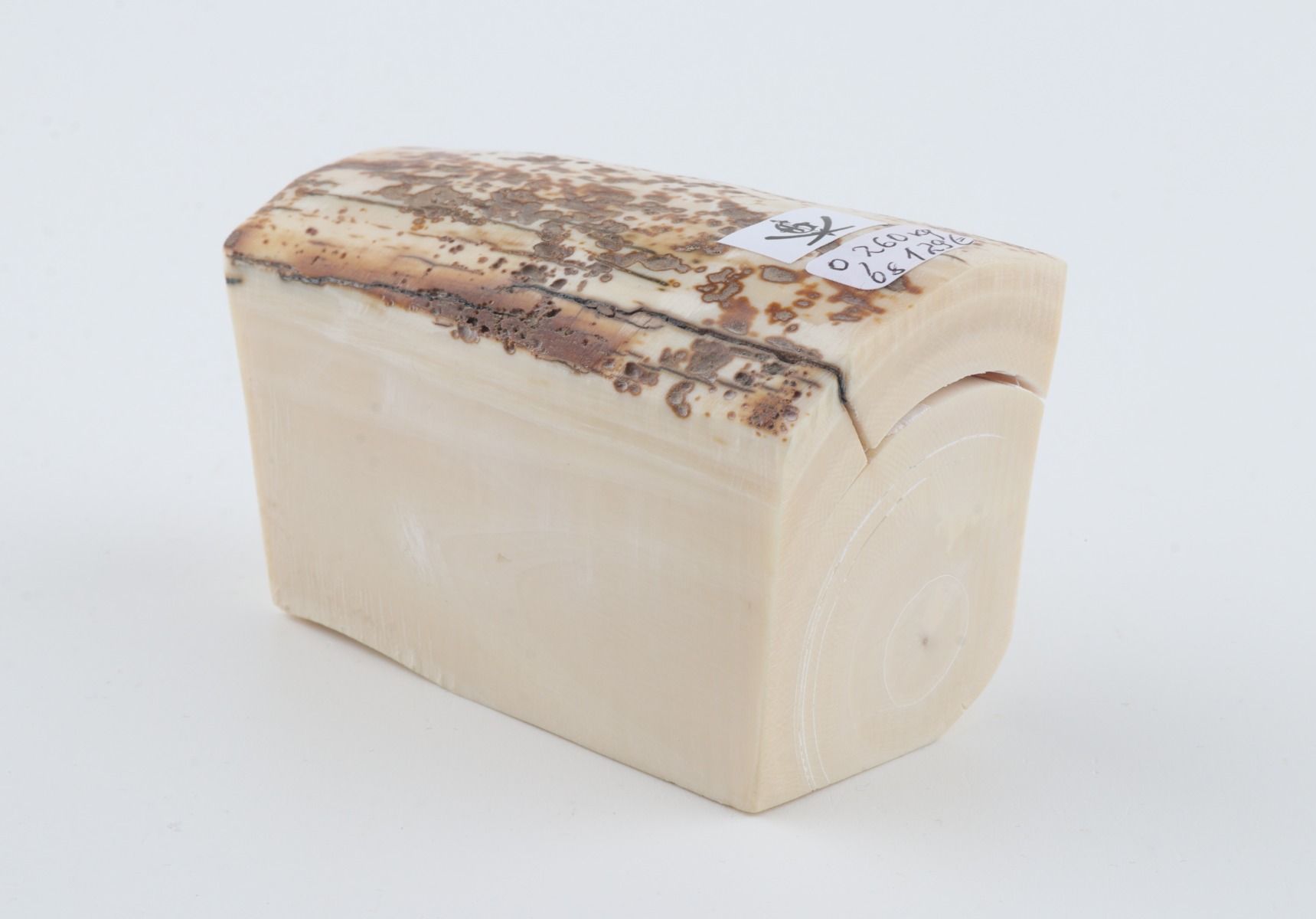 White mammoth ivory piece