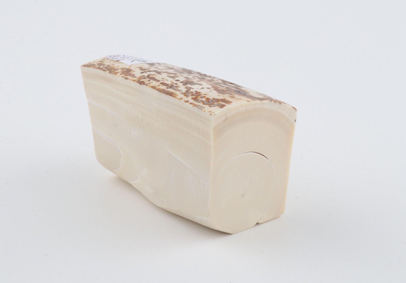 White mammoth ivory piece
