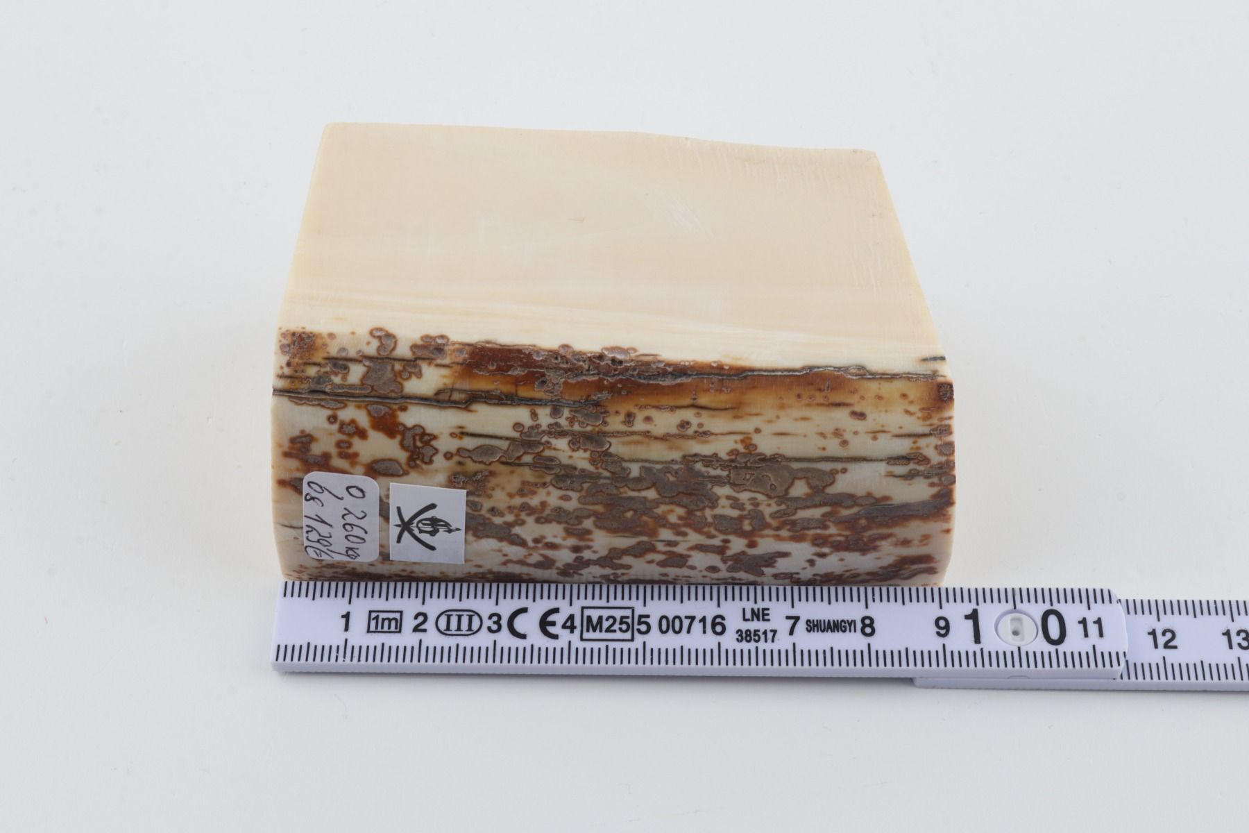 White mammoth ivory piece