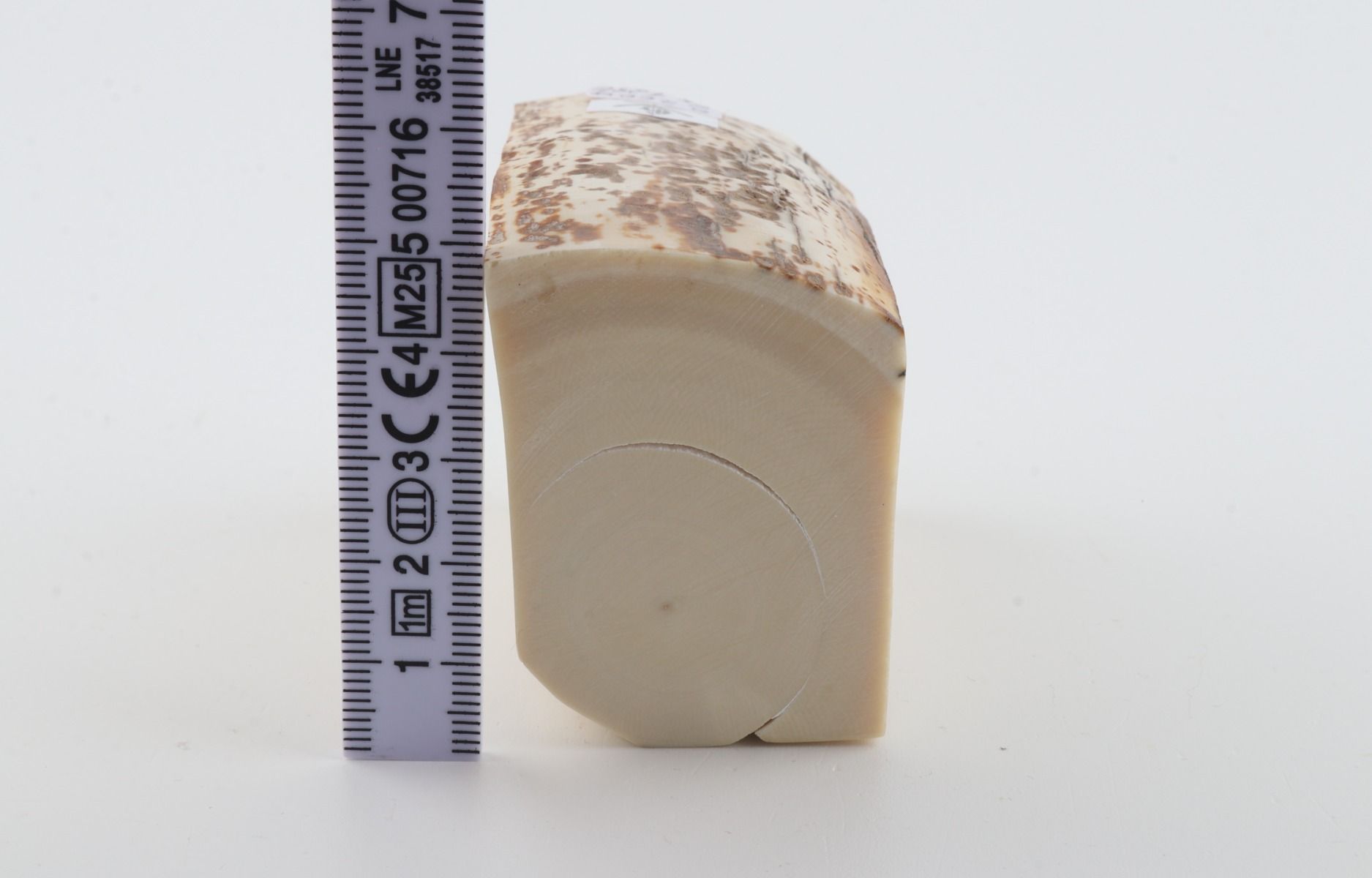 White mammoth ivory piece