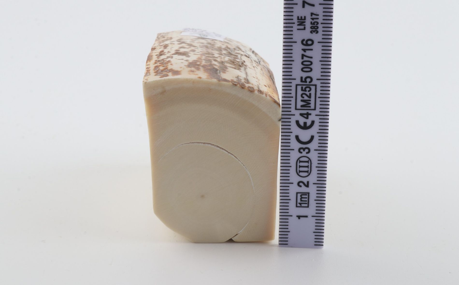 White mammoth ivory piece