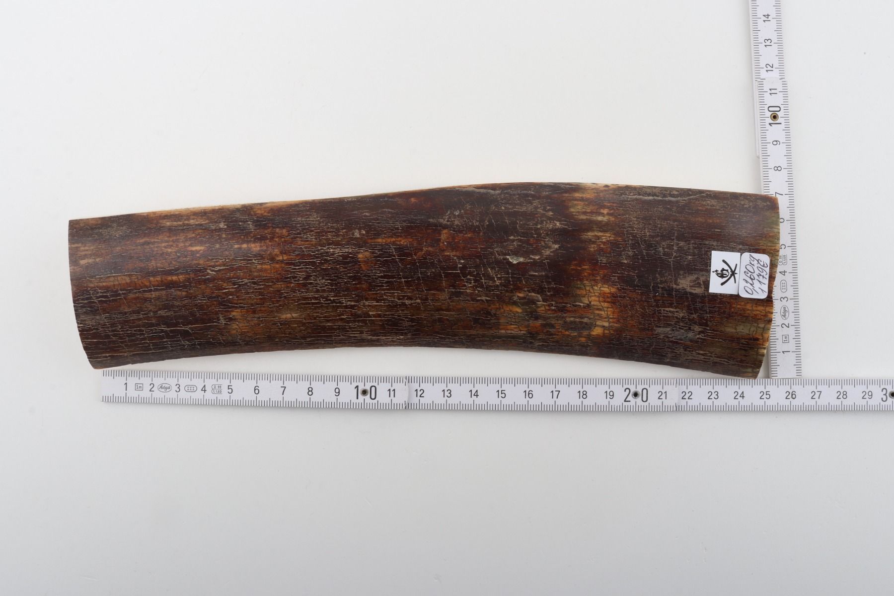 Brown-red mammoth bark