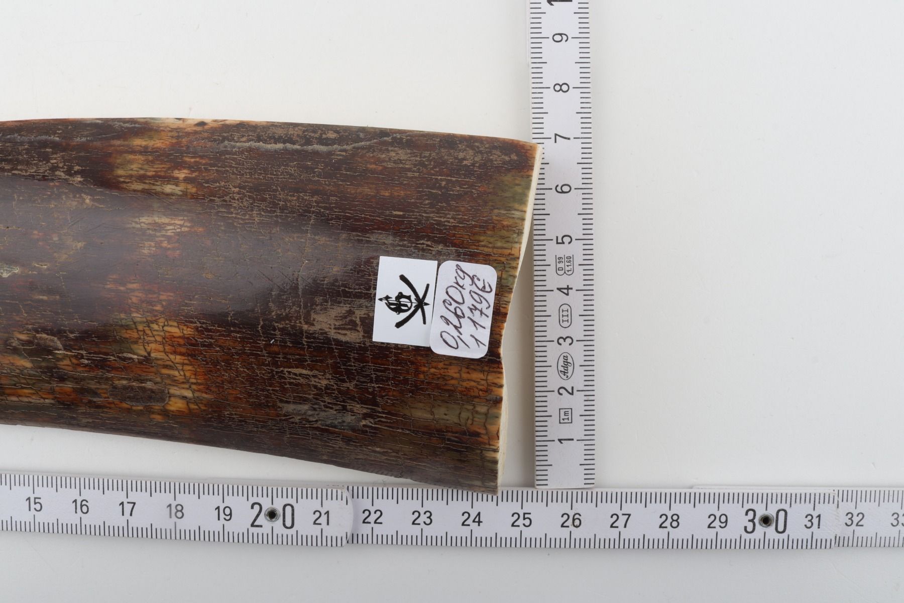 Brown-red mammoth bark