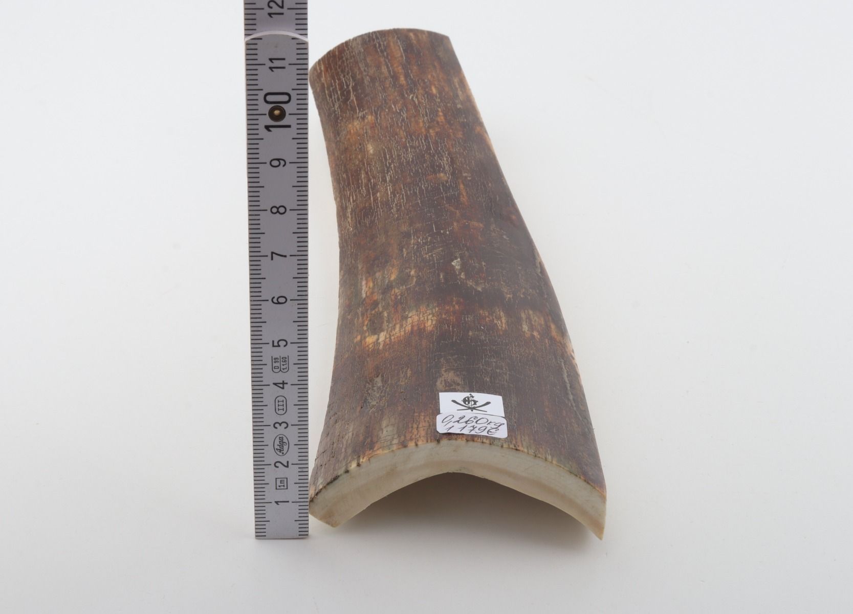 Brown-red mammoth bark