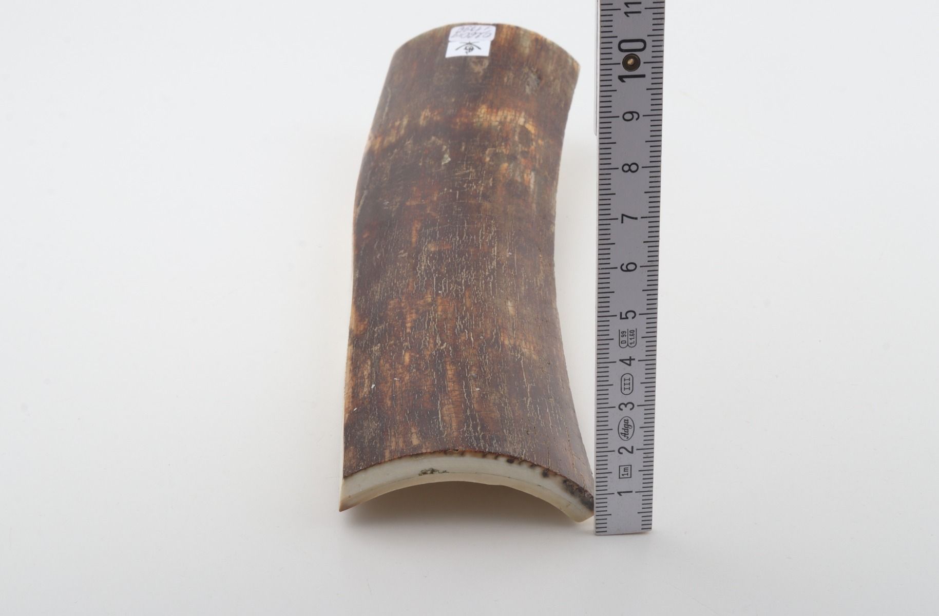 Brown-red mammoth bark