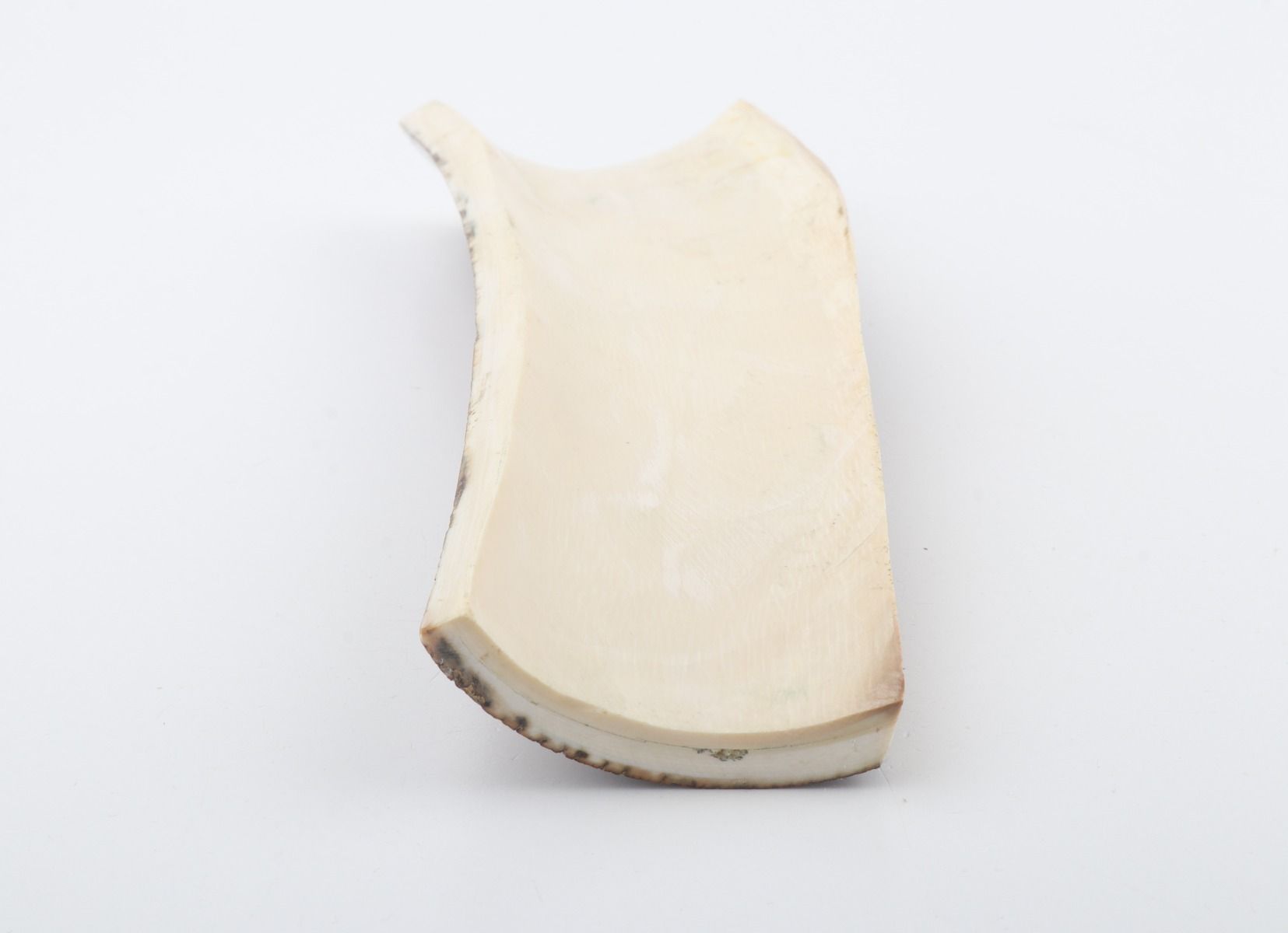Brown-red mammoth bark