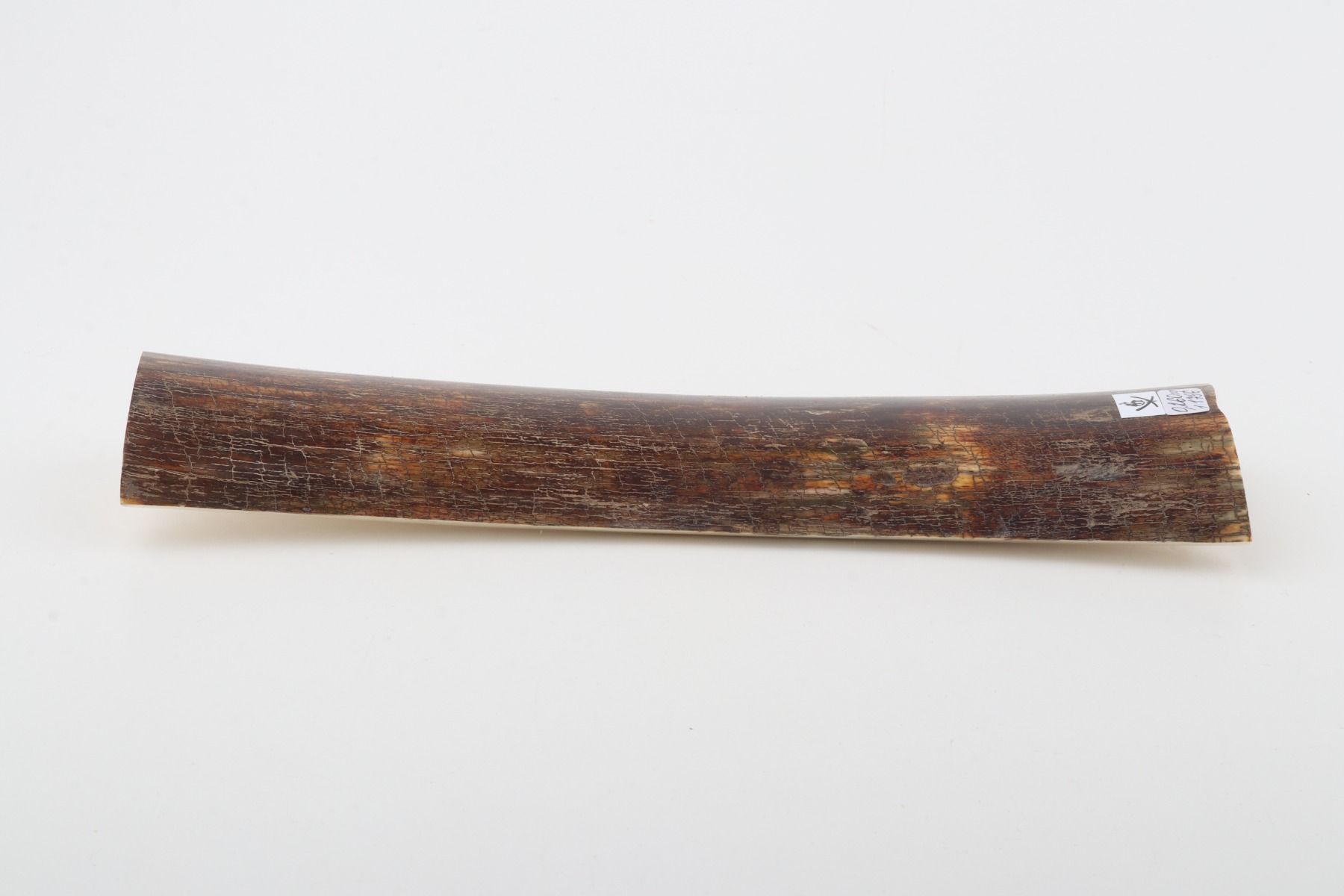 Brown-red mammoth bark