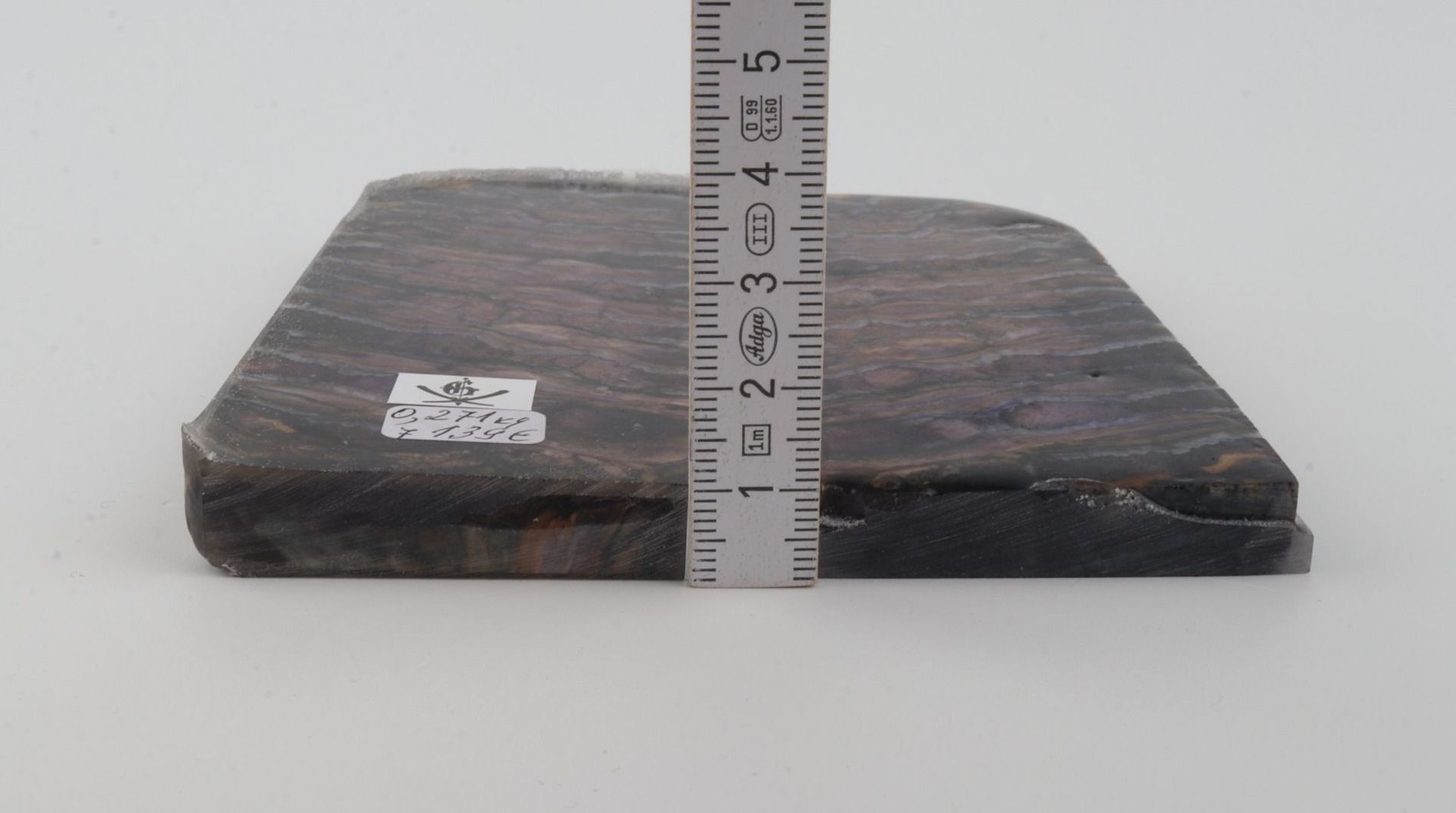 Stabilised mammoth molar scales