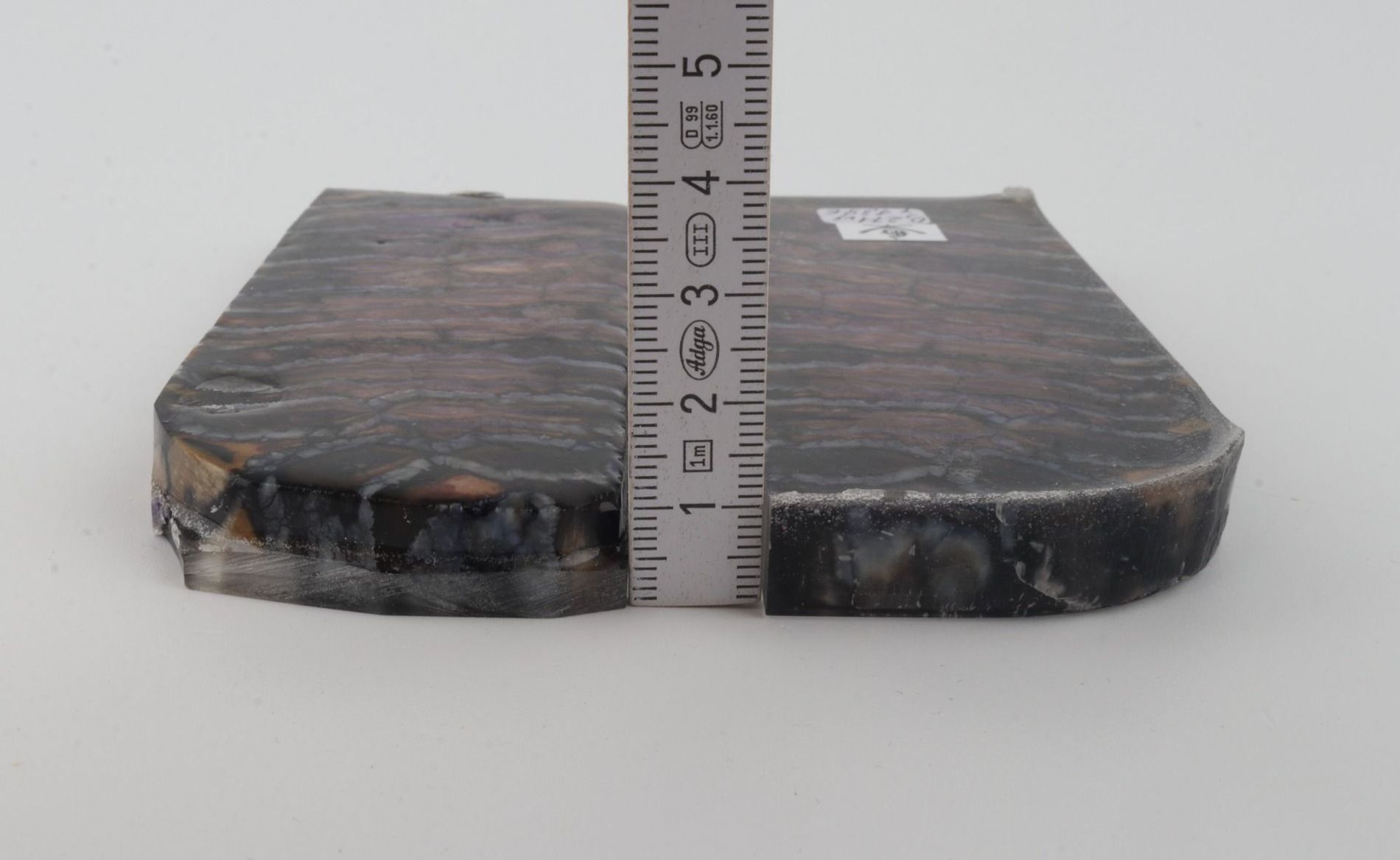 Stabilised mammoth molar scales