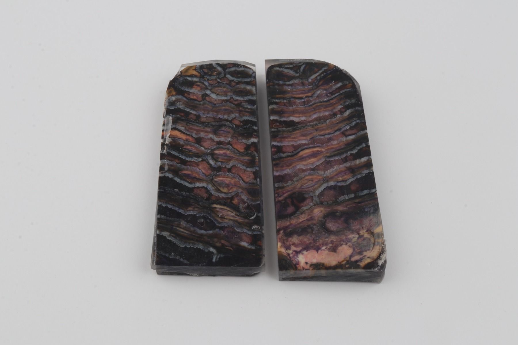 Stabilised mammoth molar scales