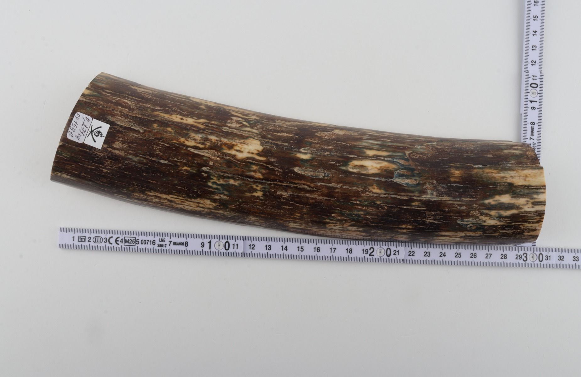 Brown mammoth bark