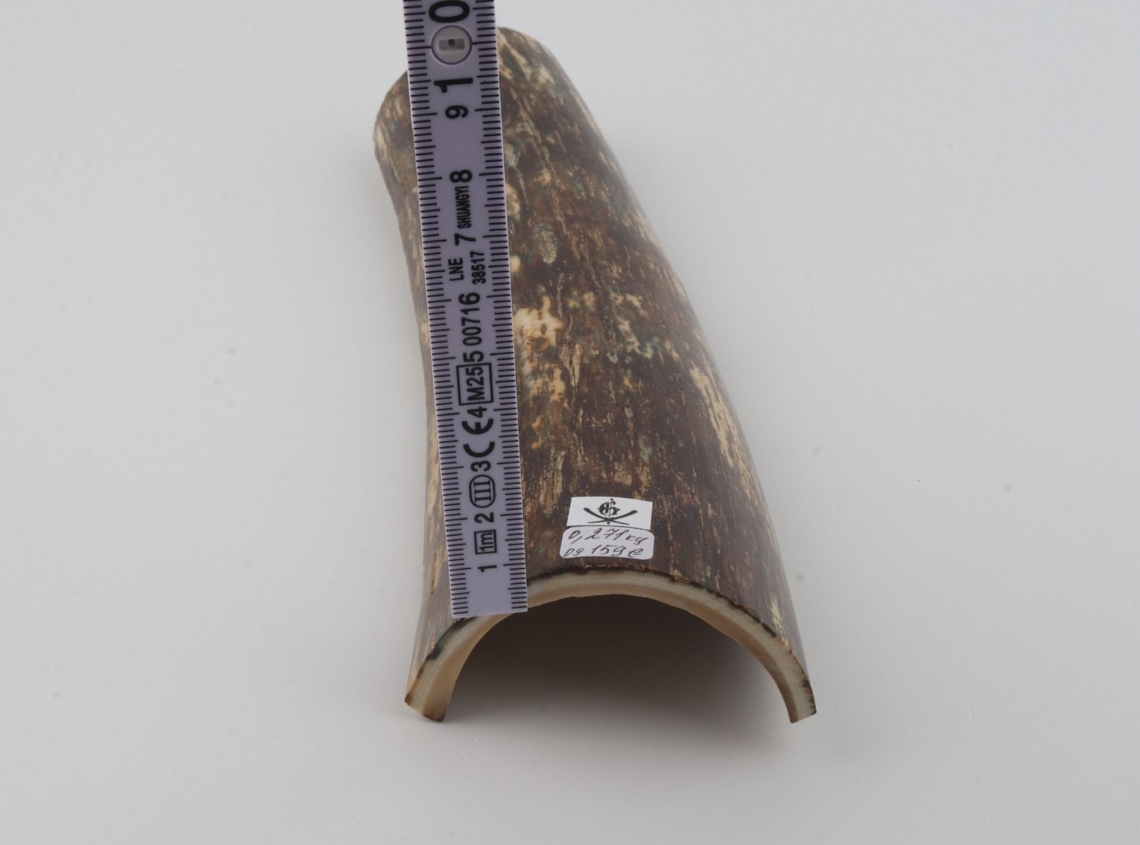 Brown mammoth bark