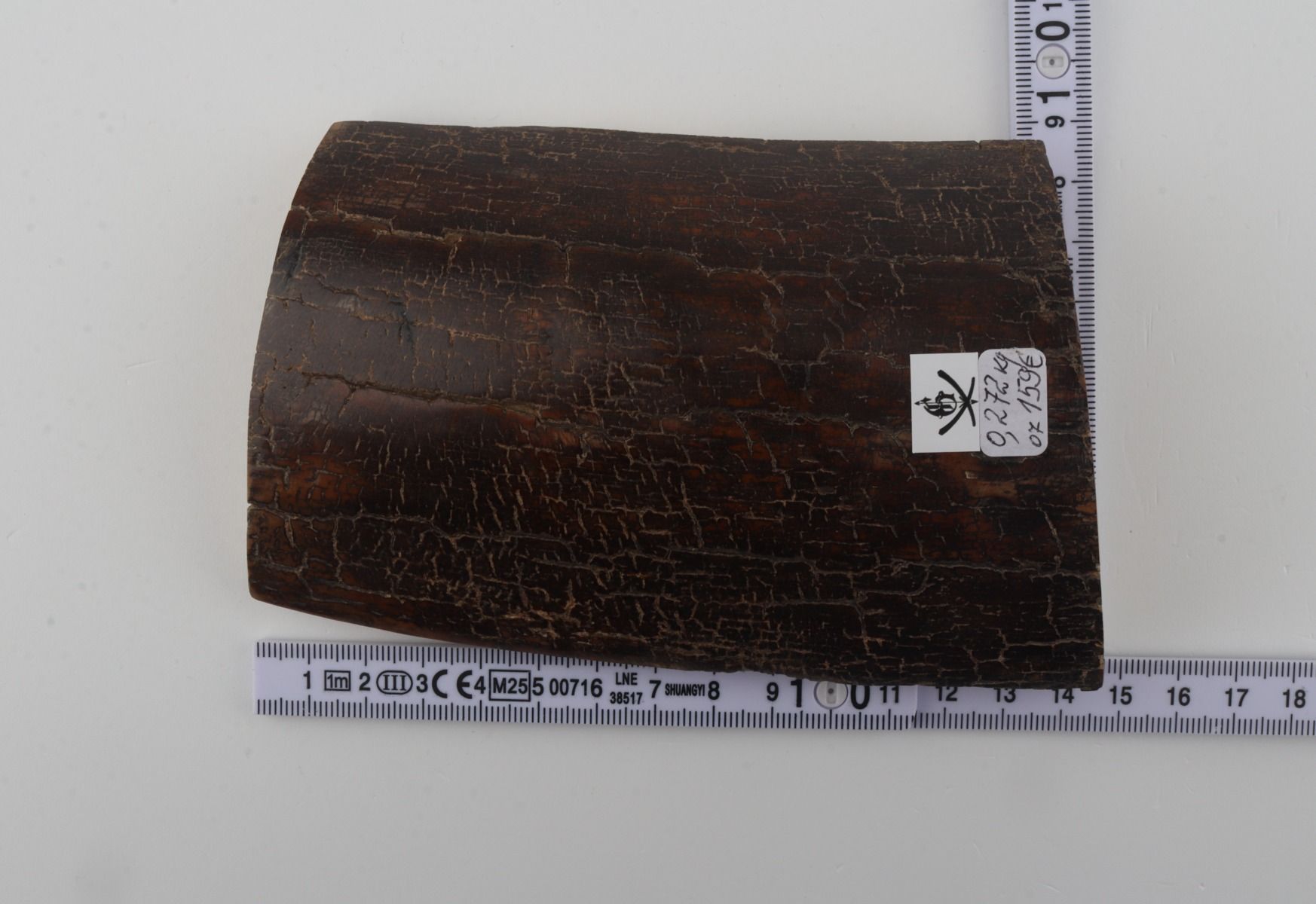 Brown mammoth bark