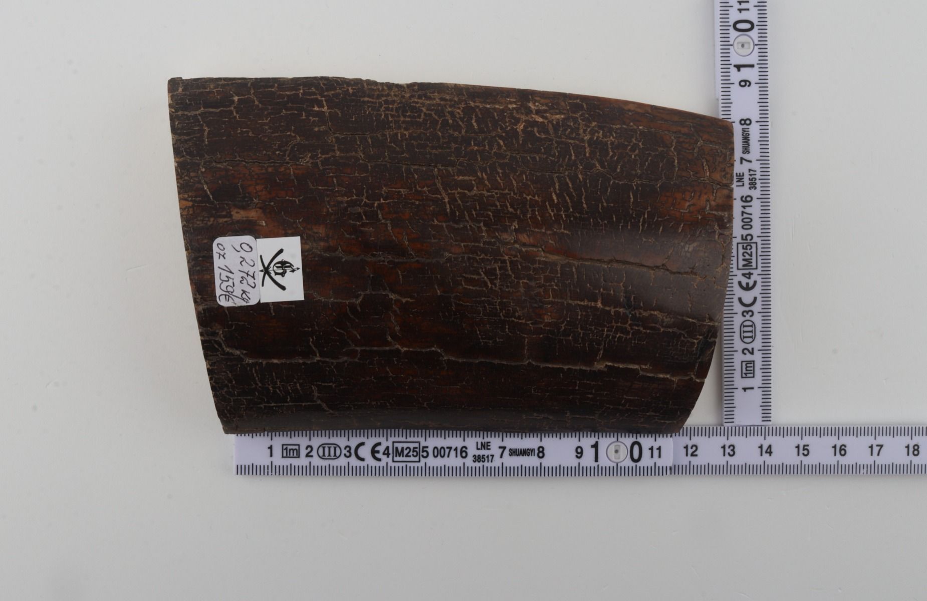 Brown mammoth bark