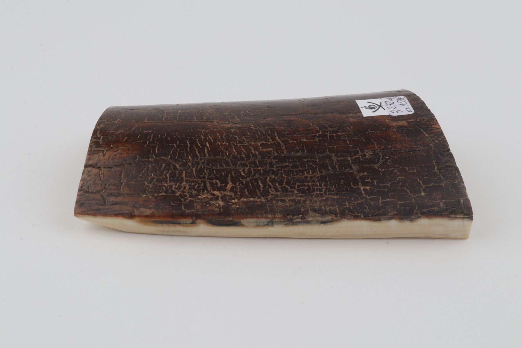 Brown mammoth bark