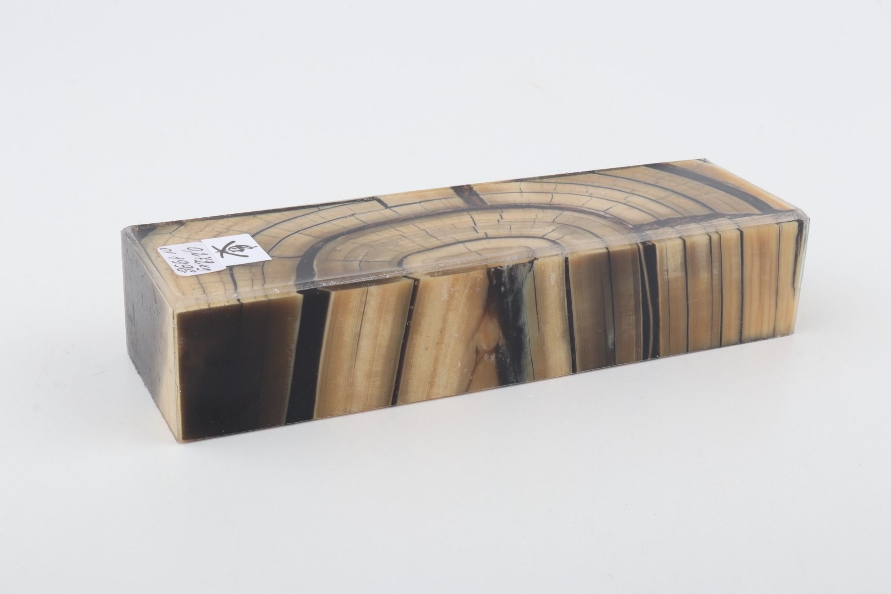 Stabilized mammoth ivory block