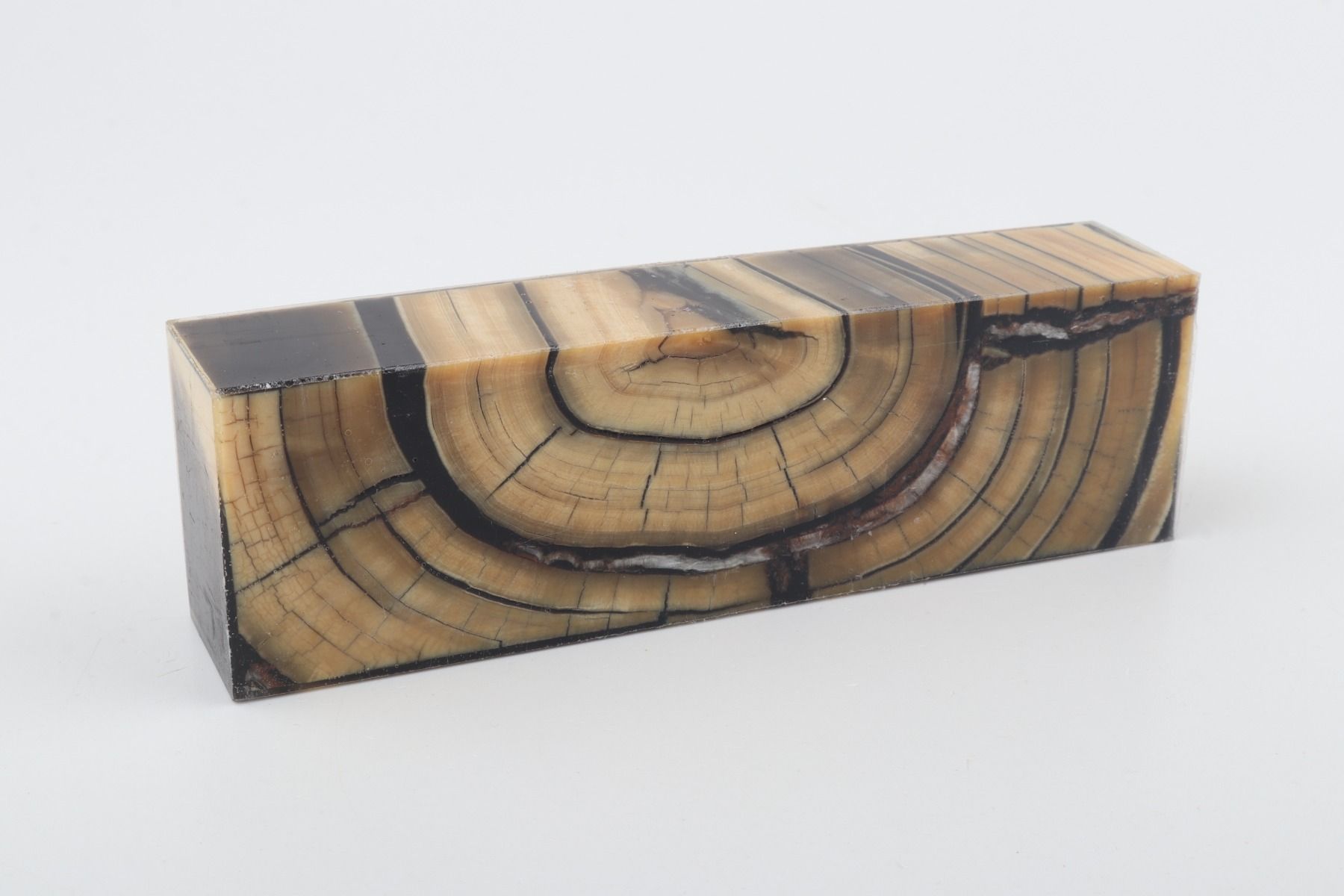 Stabilized mammoth ivory block