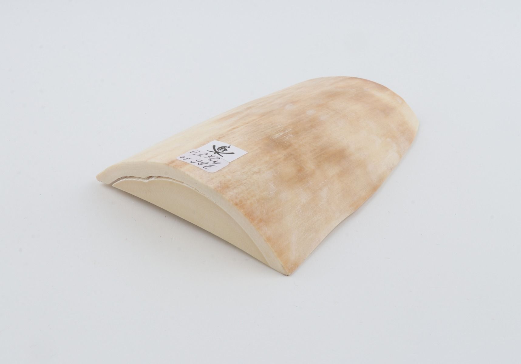 White mammoth ivory piece