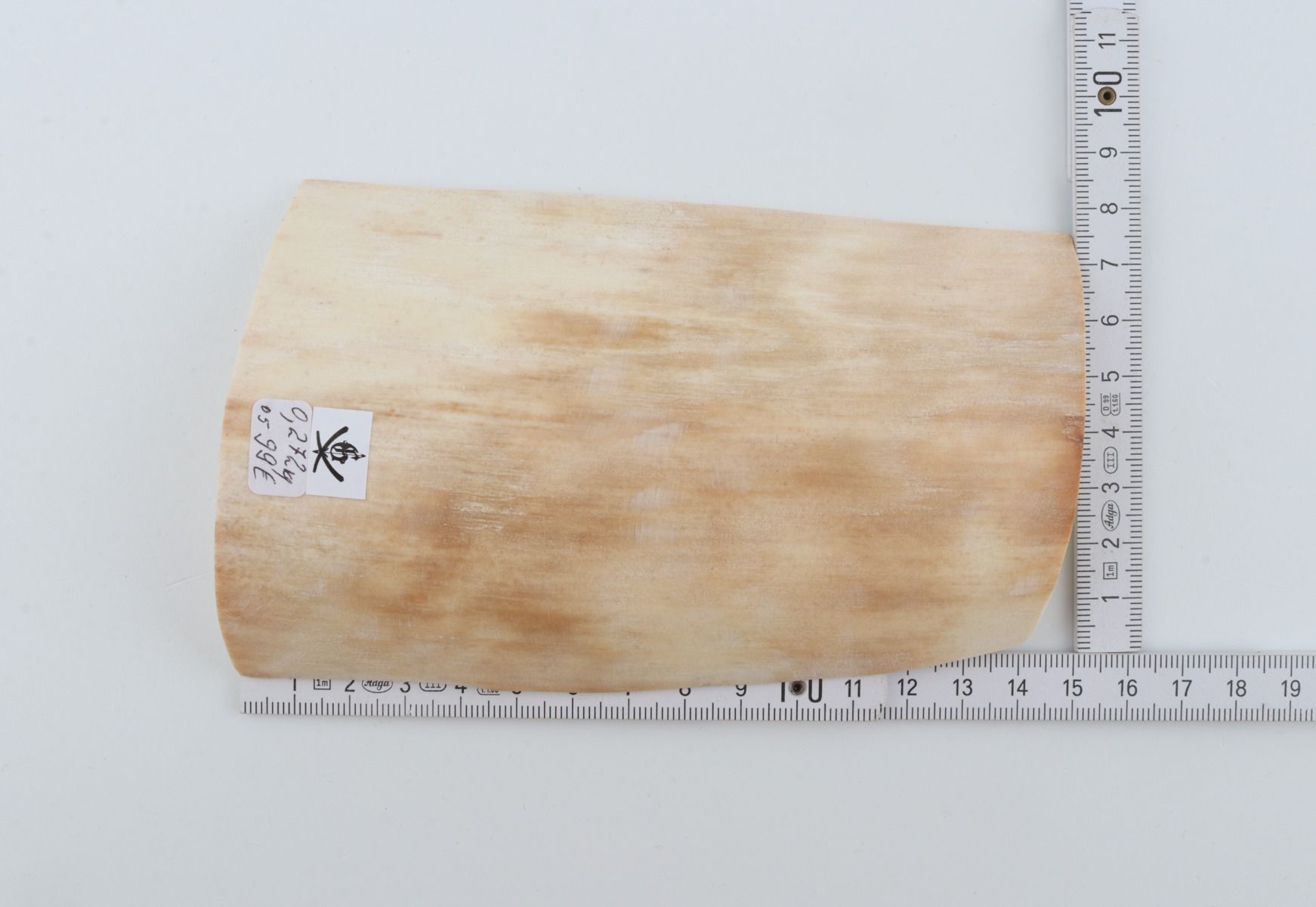White mammoth ivory piece