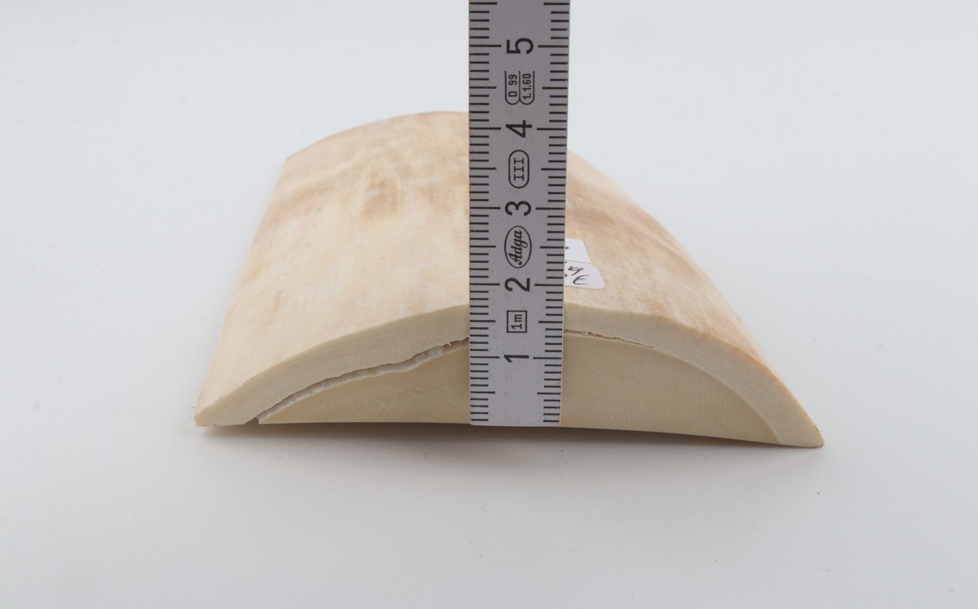 White mammoth ivory piece