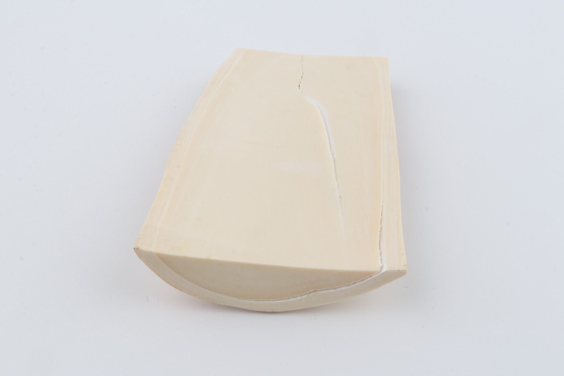 White mammoth ivory piece
