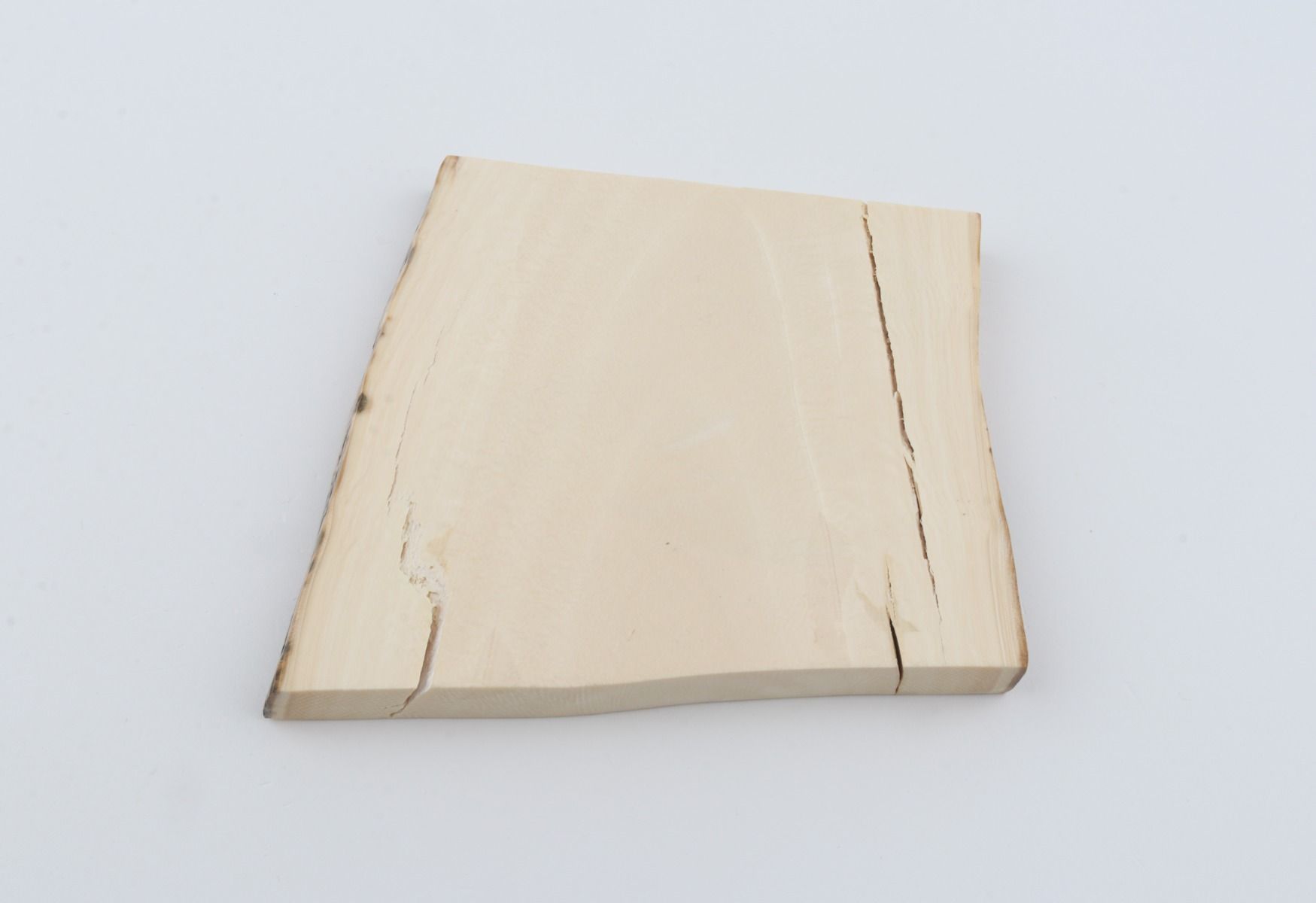 White mammoth ivory segment
