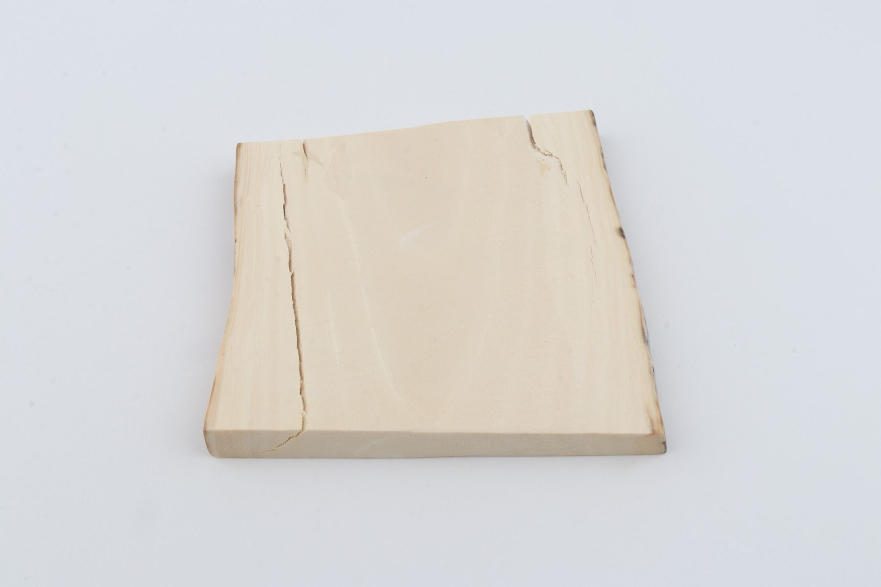 White mammoth ivory segment