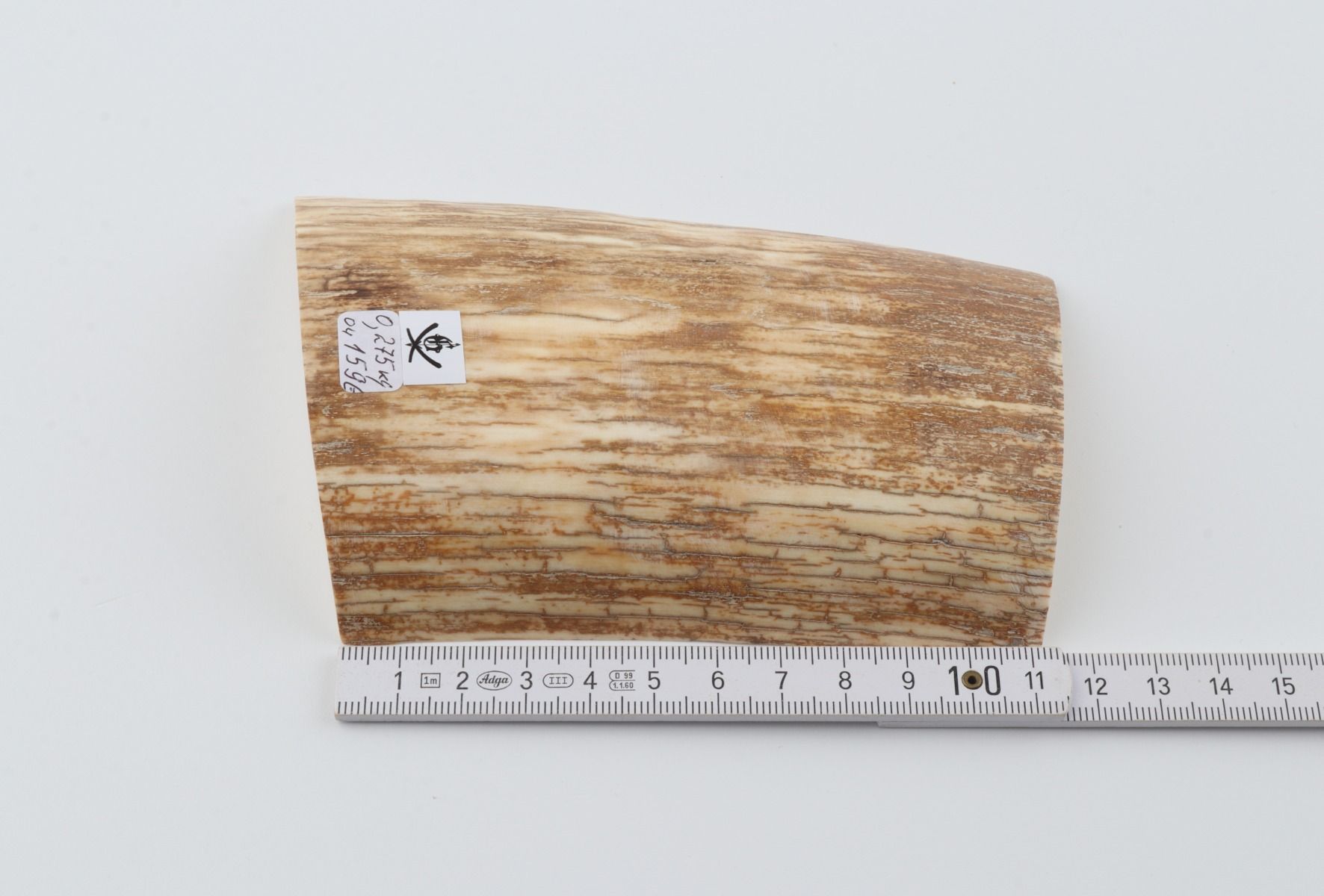 Beige-orange mammoth bark