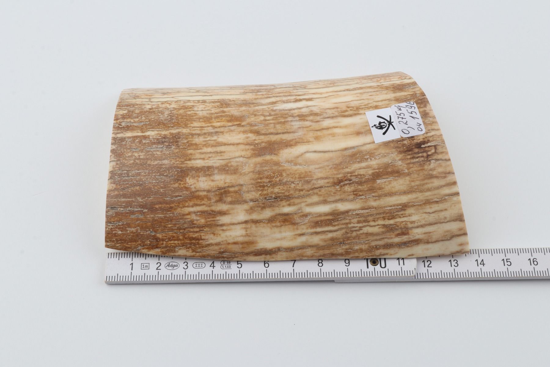 Beige-orange mammoth bark