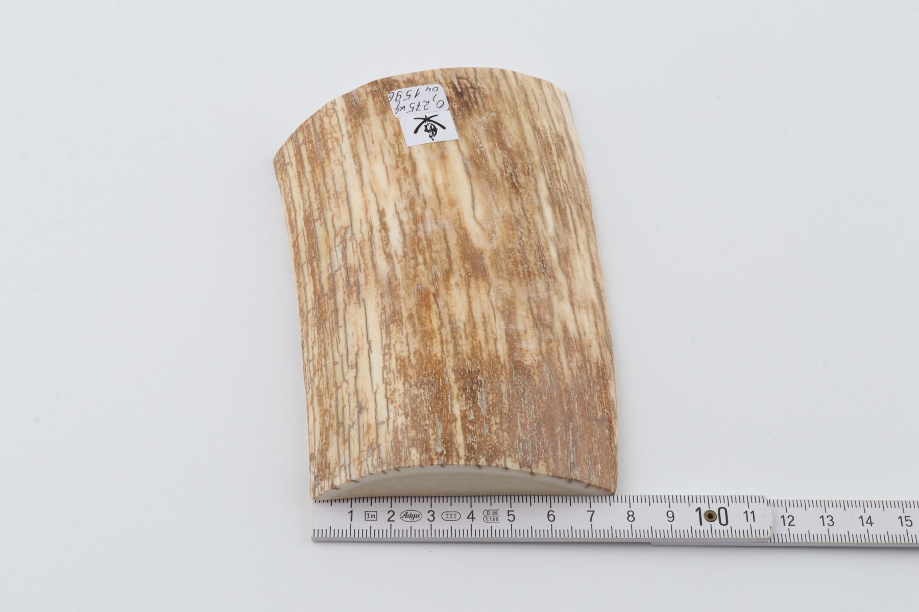 Beige-orange mammoth bark