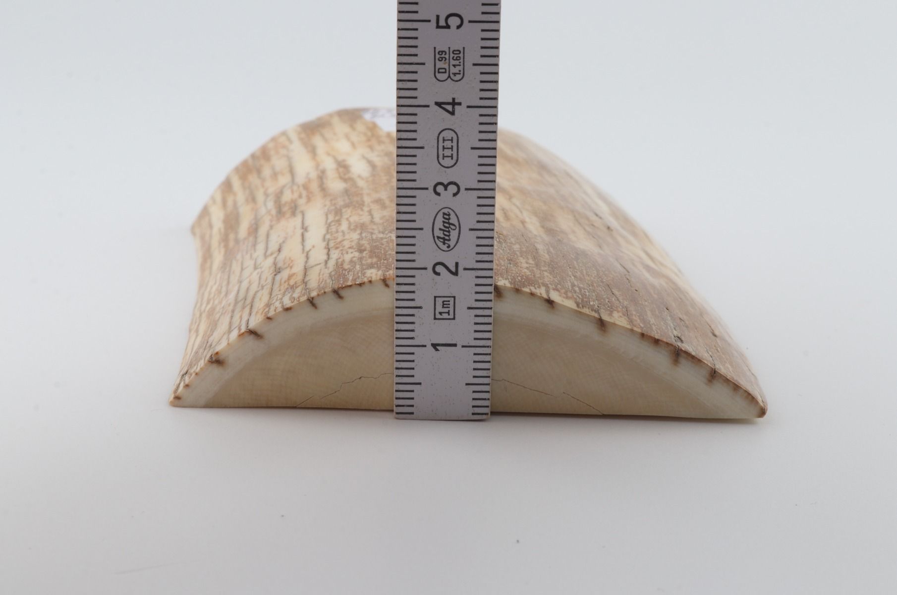 Beige-orange mammoth bark