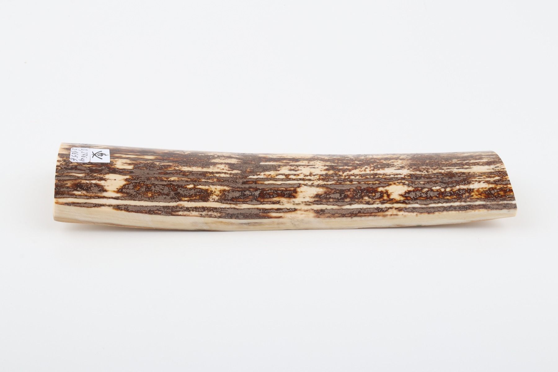 Brown-white mammoth bark