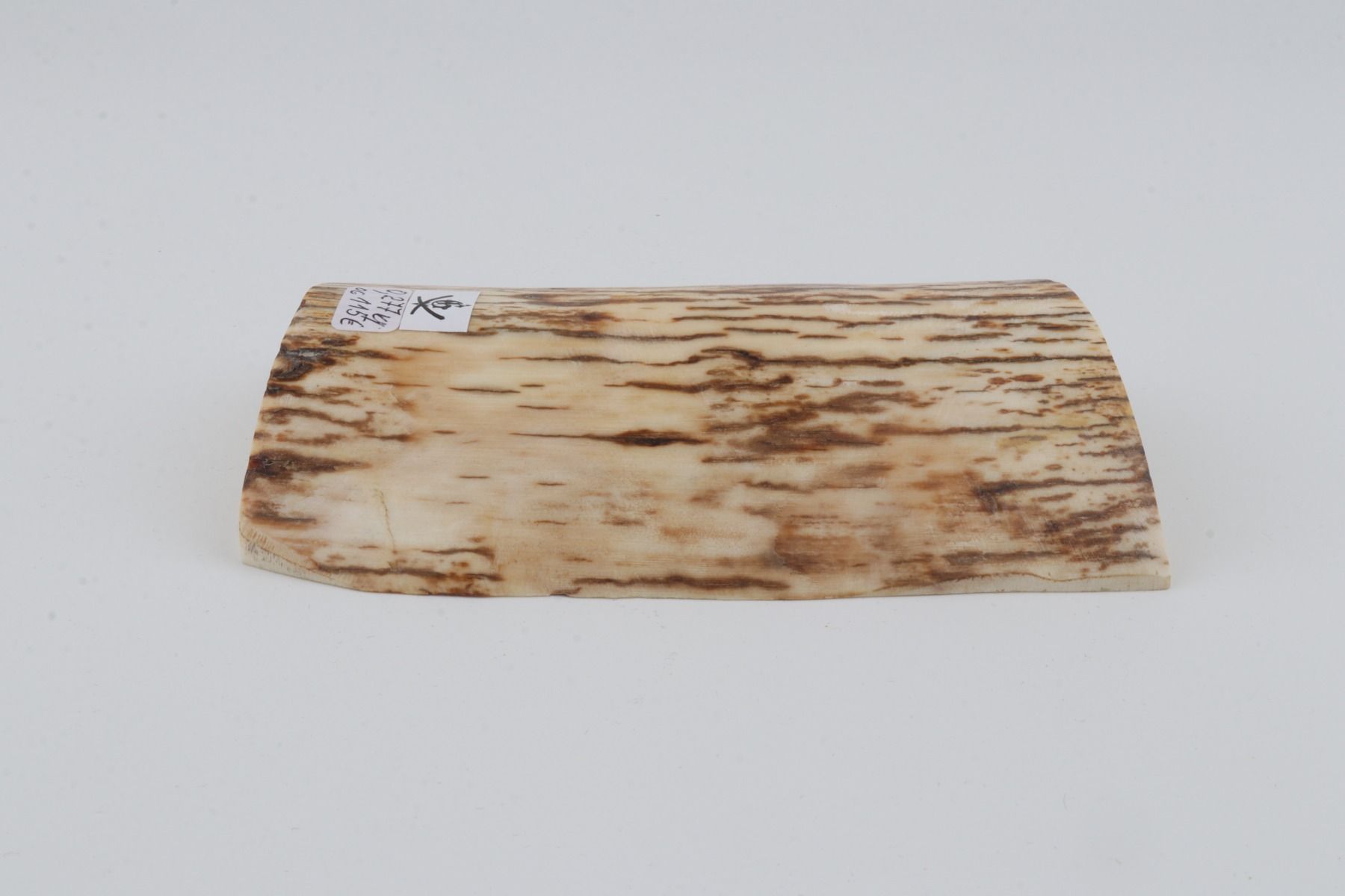 Natural mammoth ivory piece