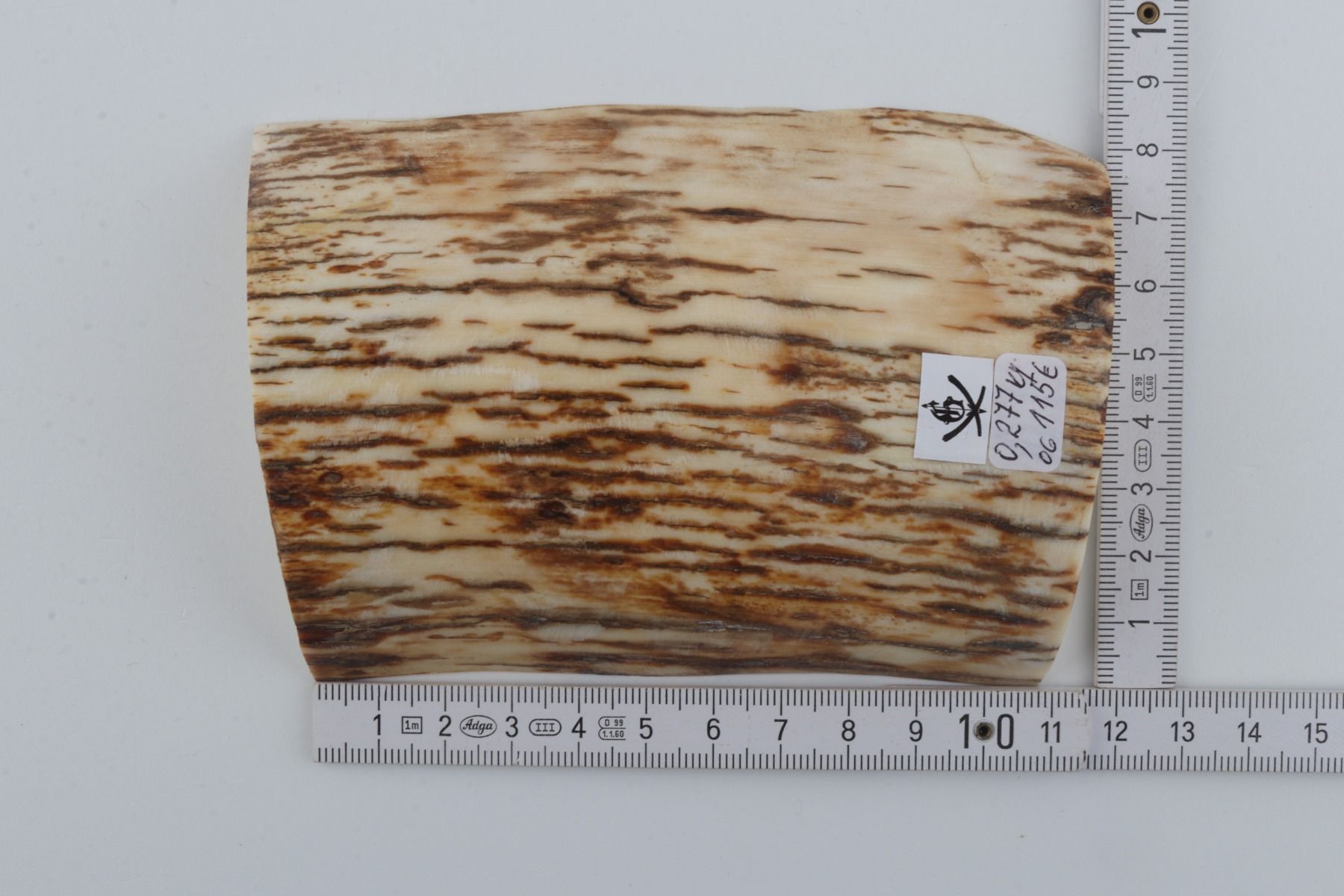 Natural mammoth ivory piece