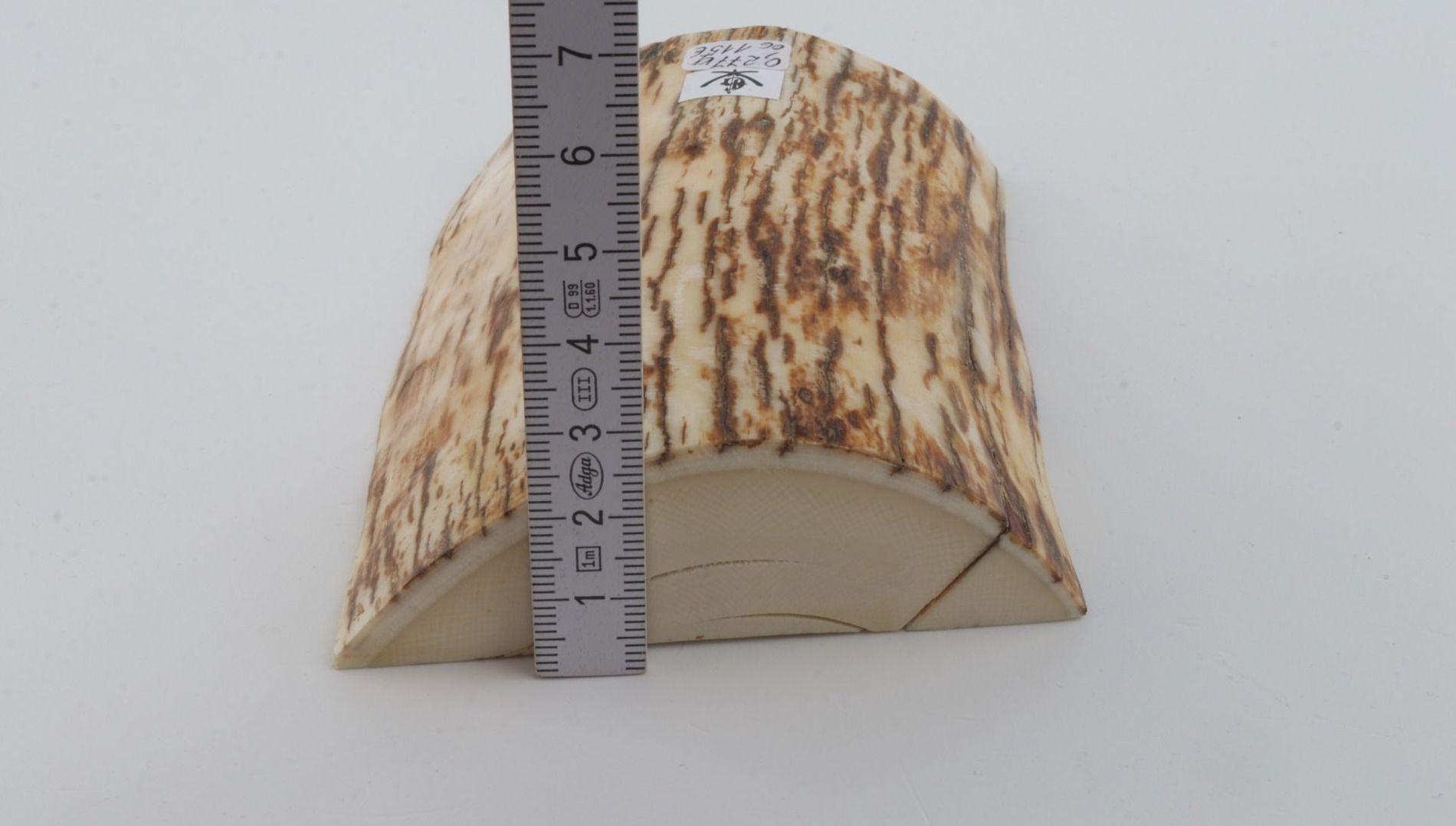 Natural mammoth ivory piece