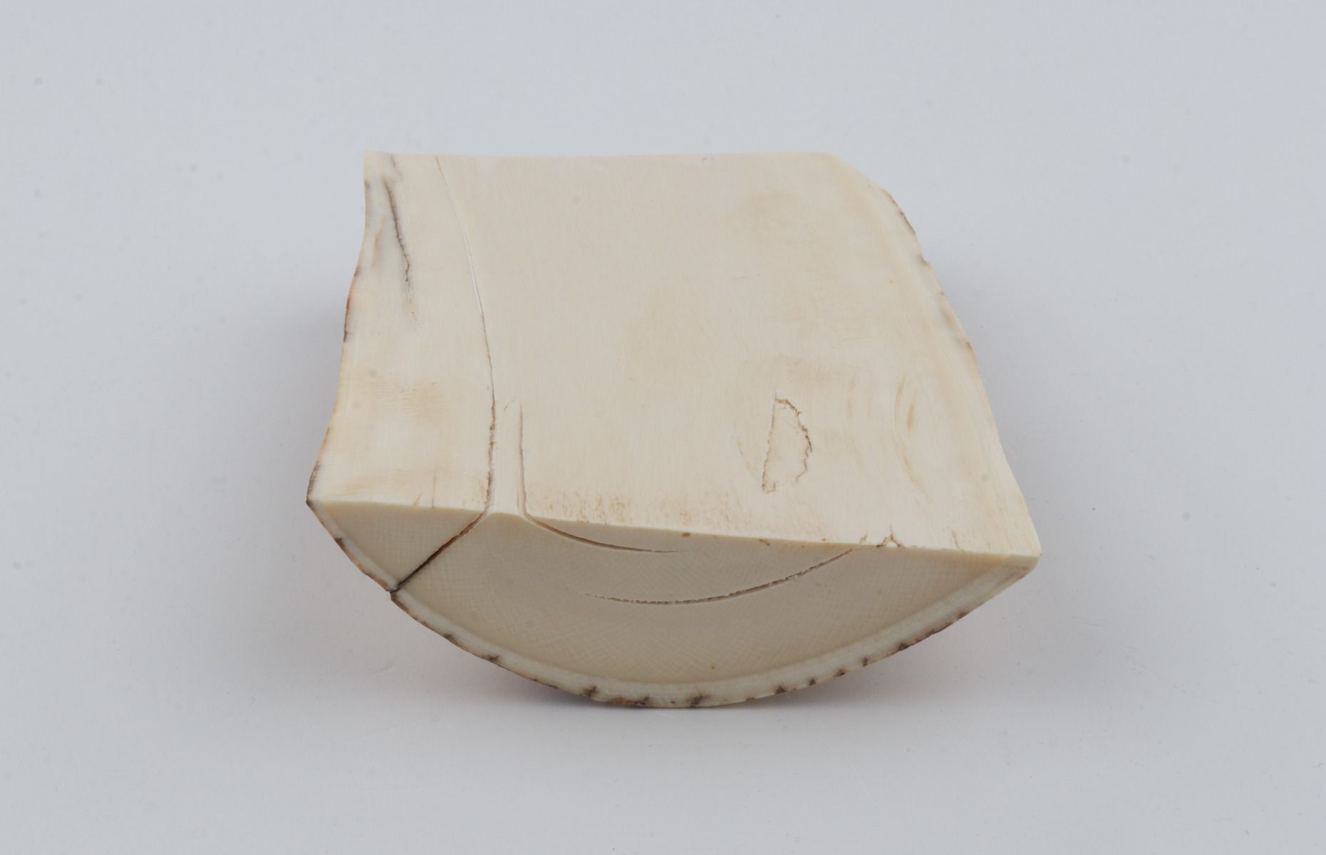 Natural mammoth ivory piece