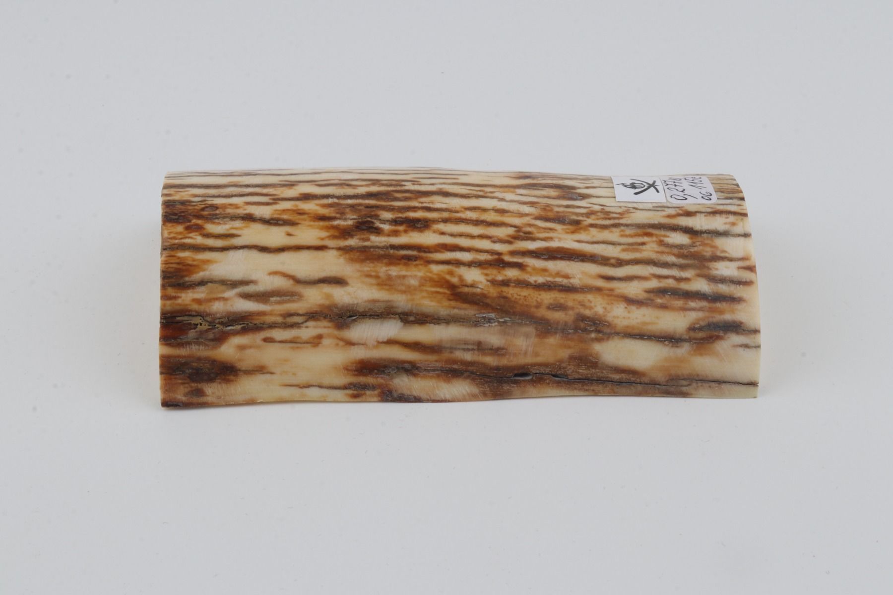 Natural mammoth ivory piece