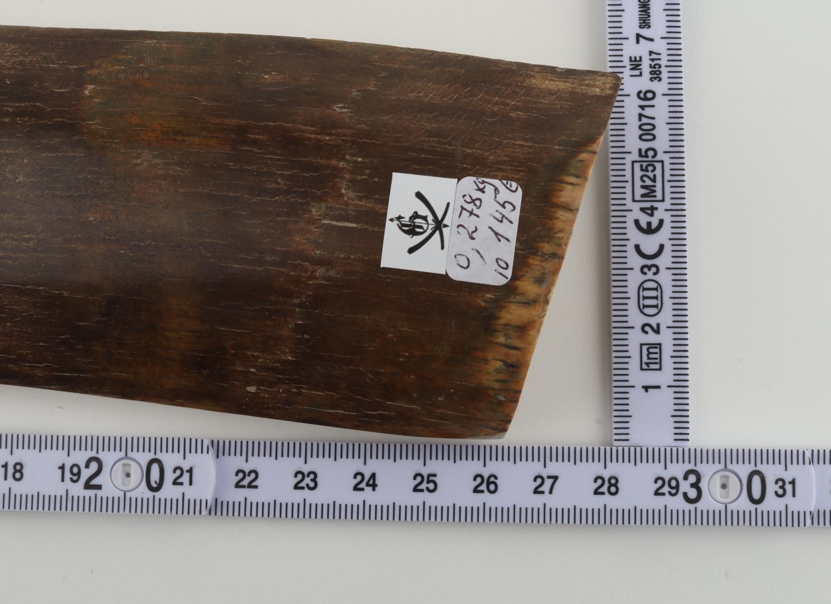 Brown mammoth bark