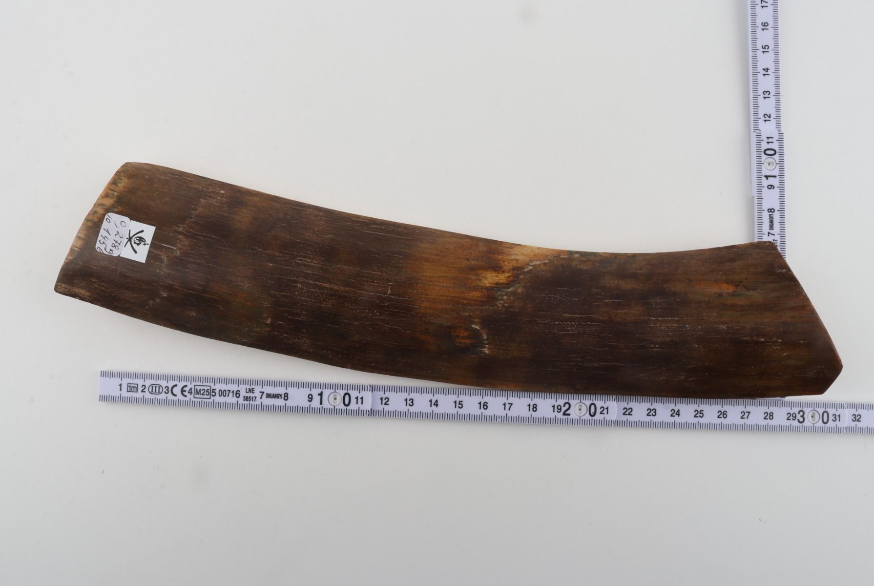 Brown mammoth bark