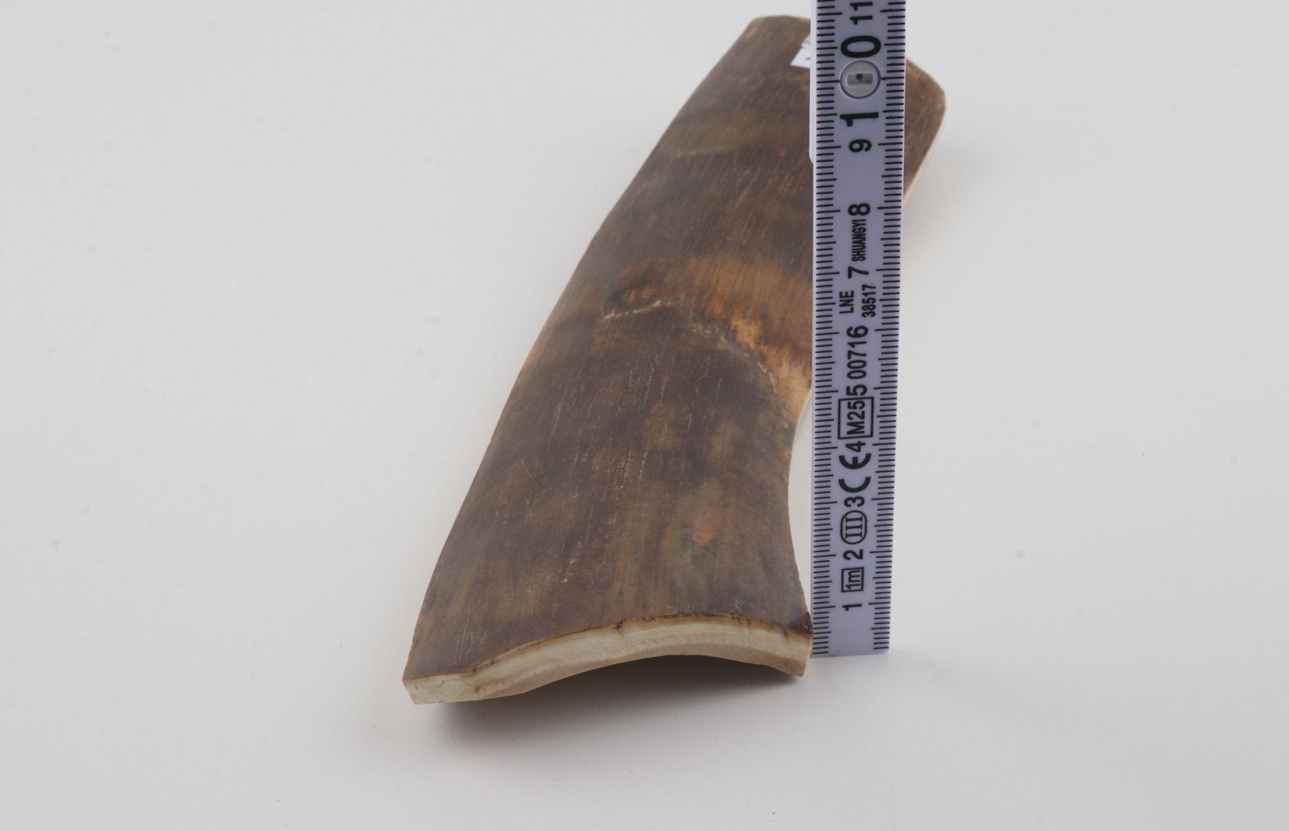 Brown mammoth bark