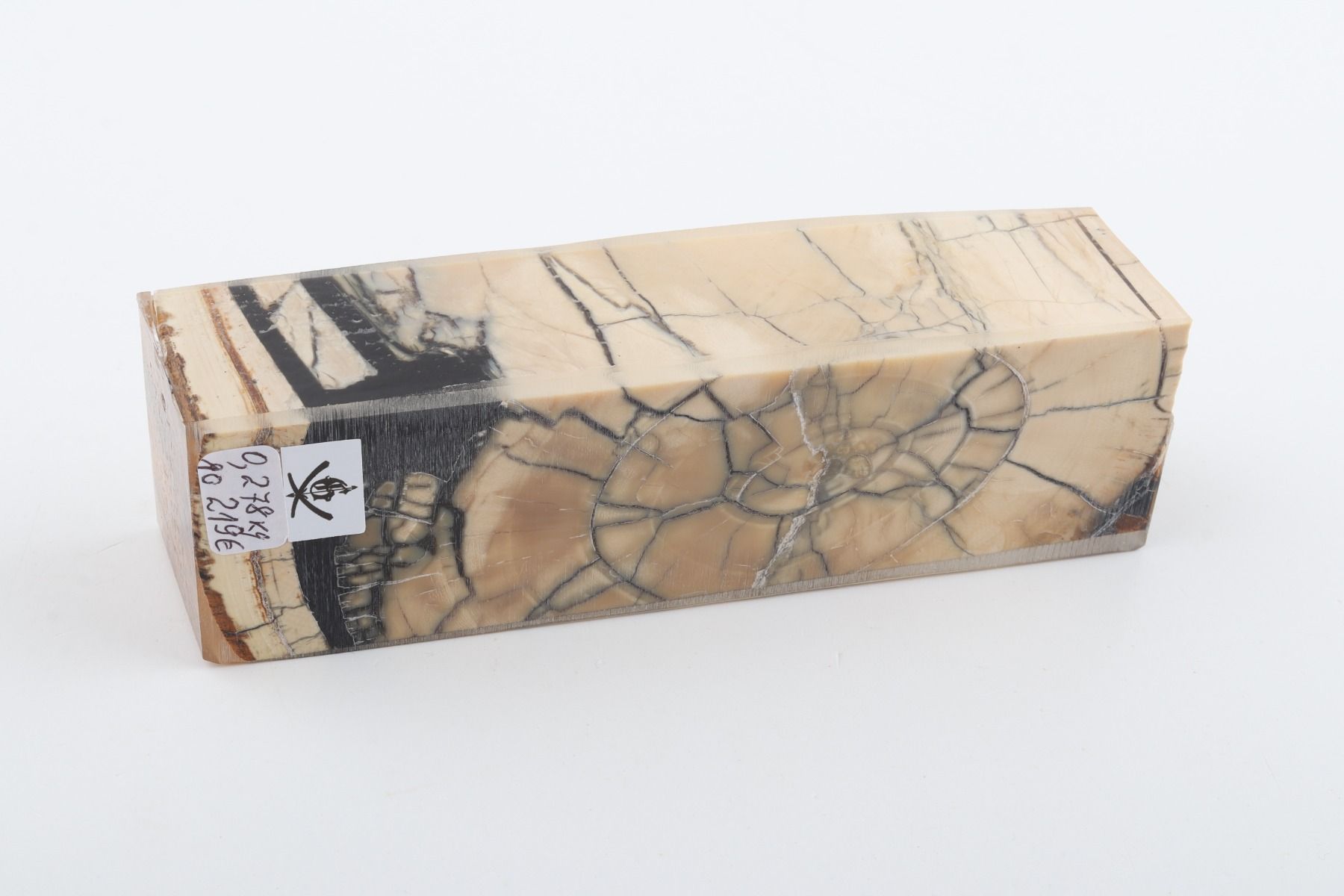 Stabilized mammoth ivory block