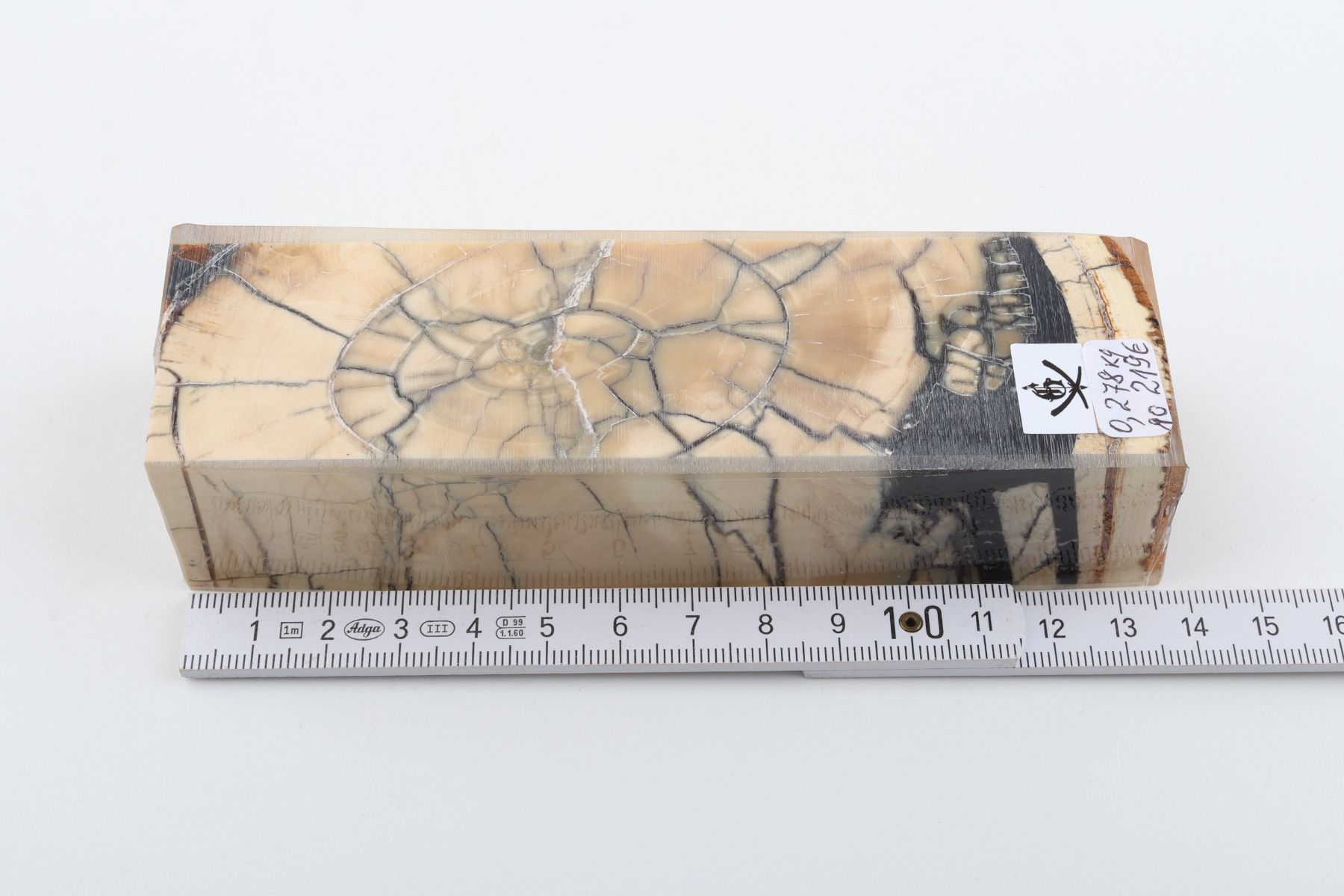 Stabilized mammoth ivory block