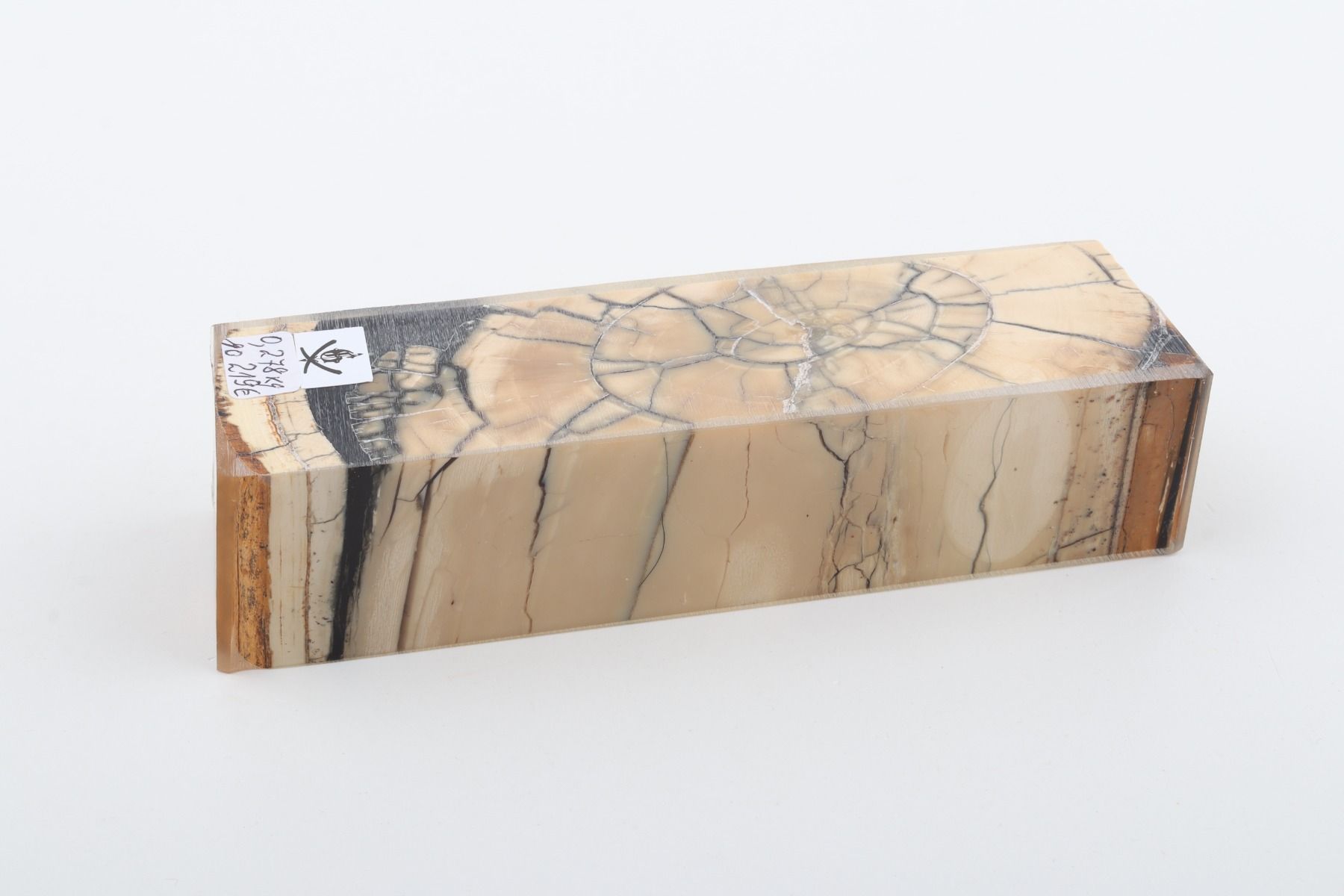Stabilized mammoth ivory block
