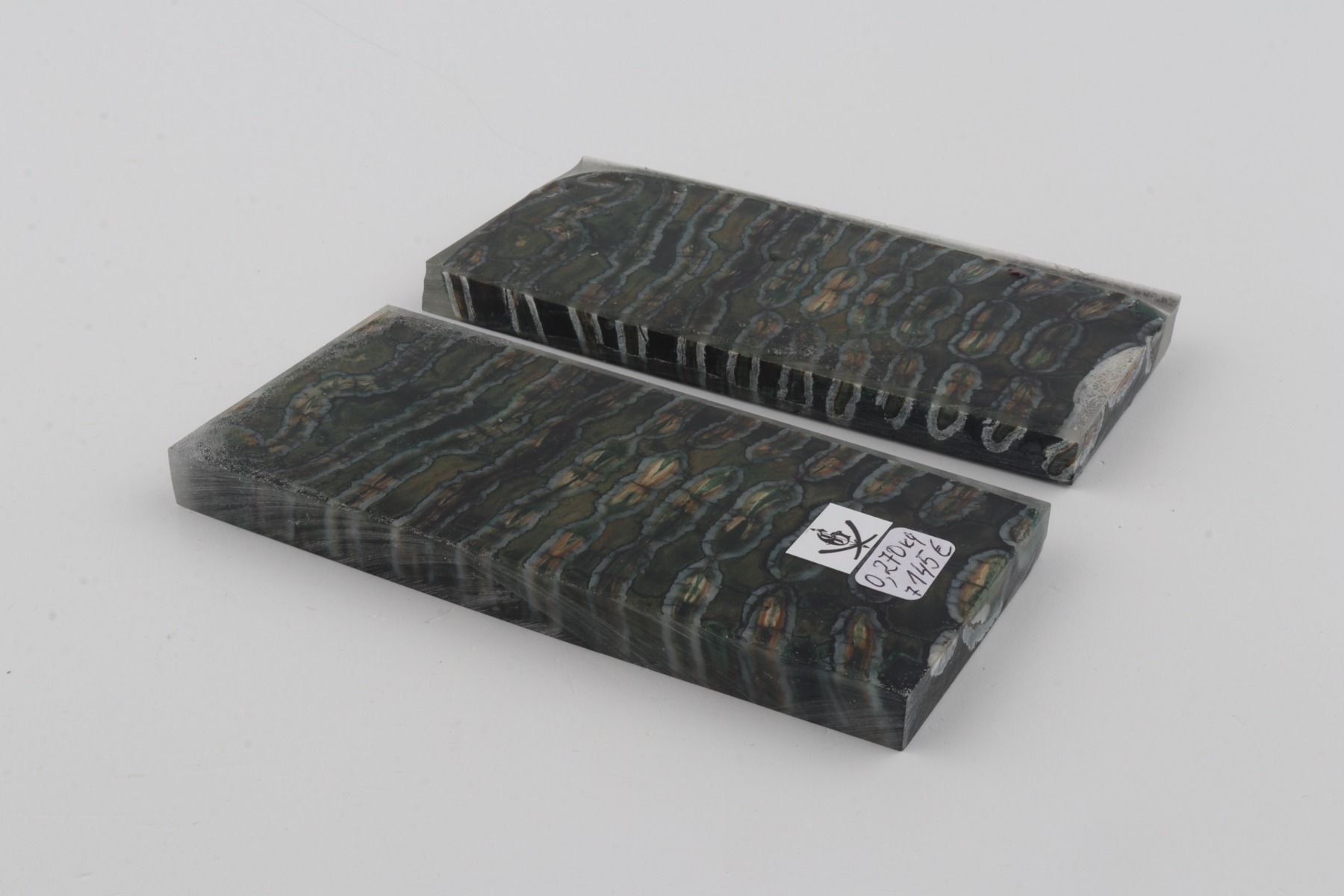 Stabilized mammoth molar scales