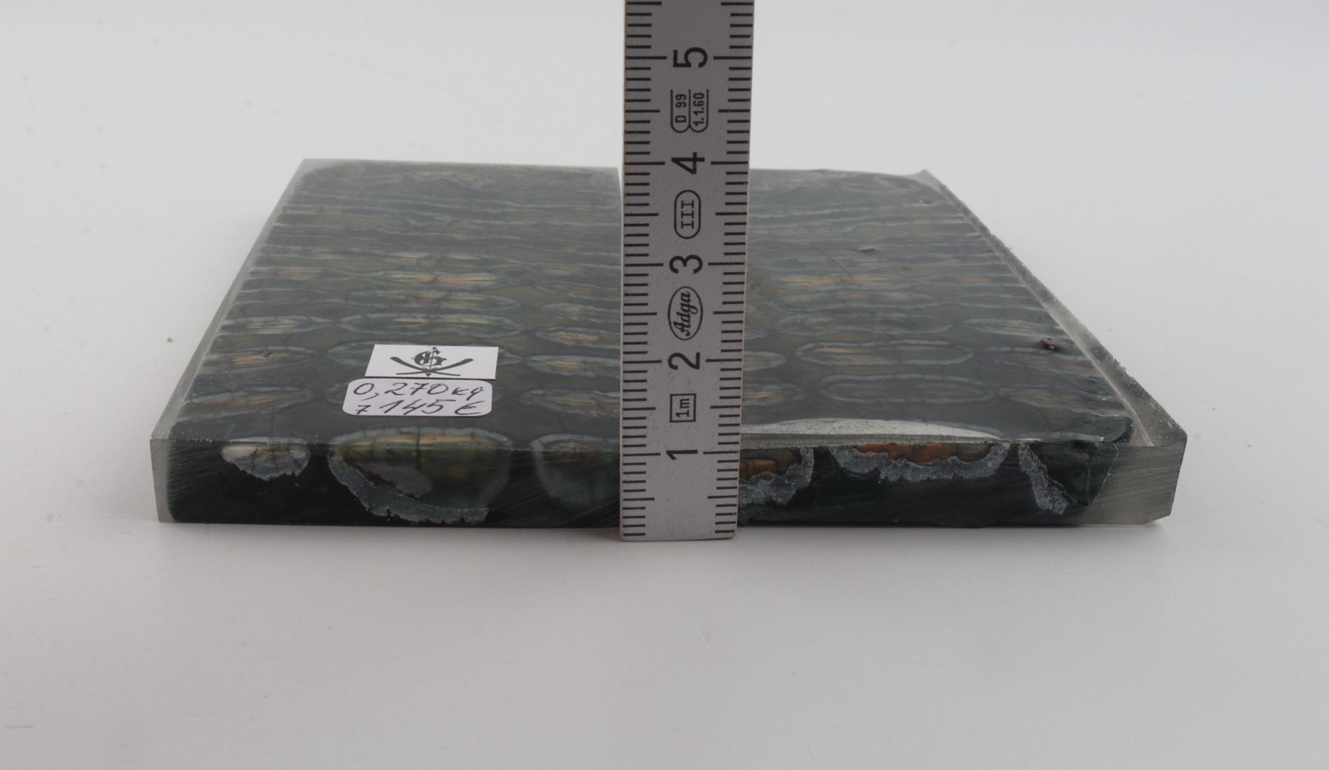 Stabilized mammoth molar scales