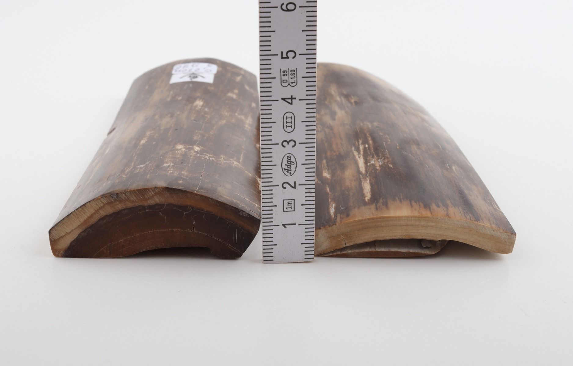 Natural mammoth bark scales