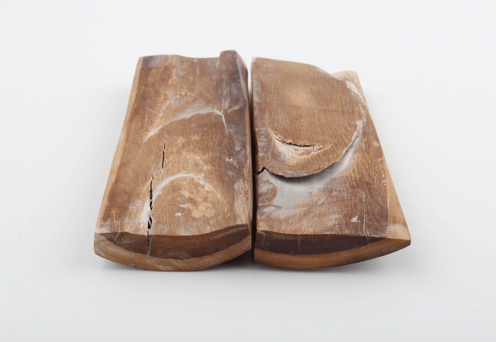 Natural mammoth bark scales