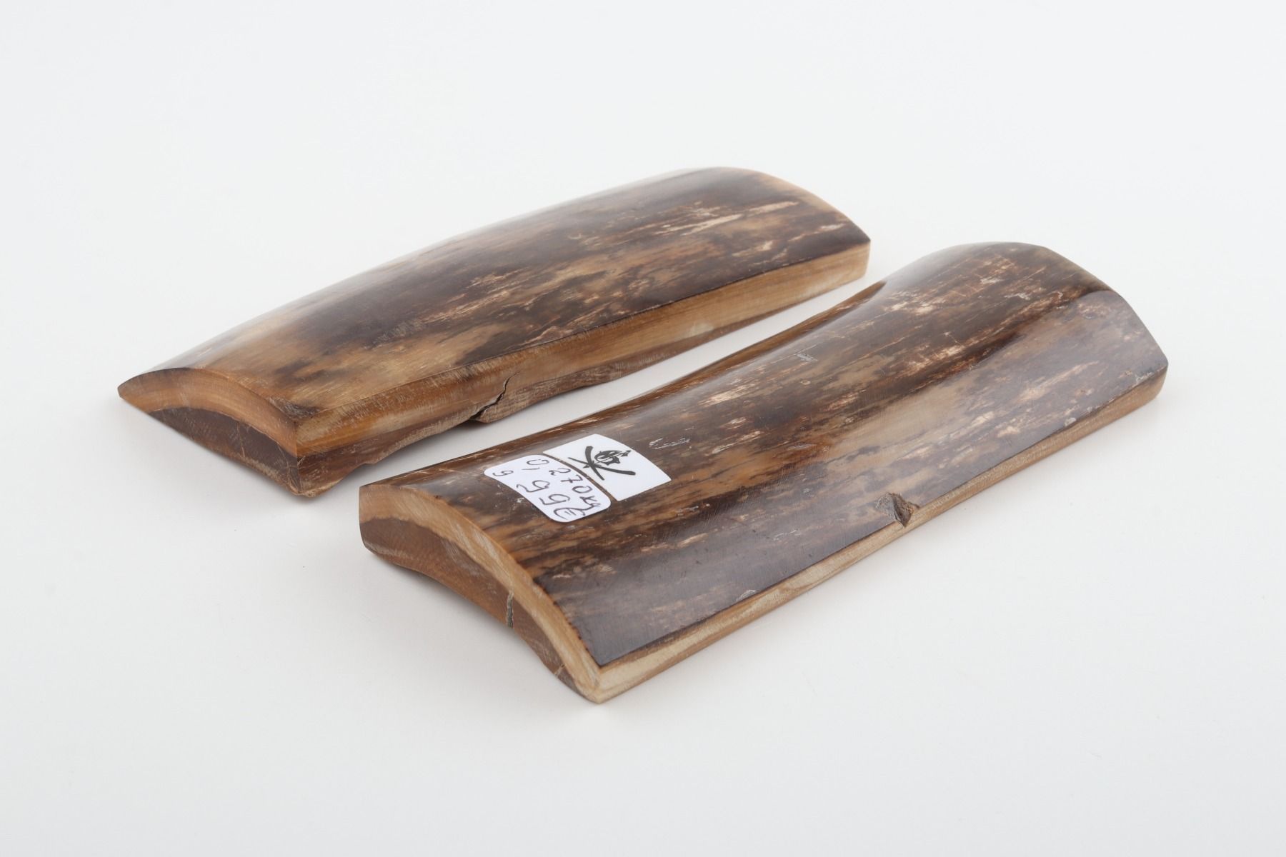 Natural mammoth bark scales